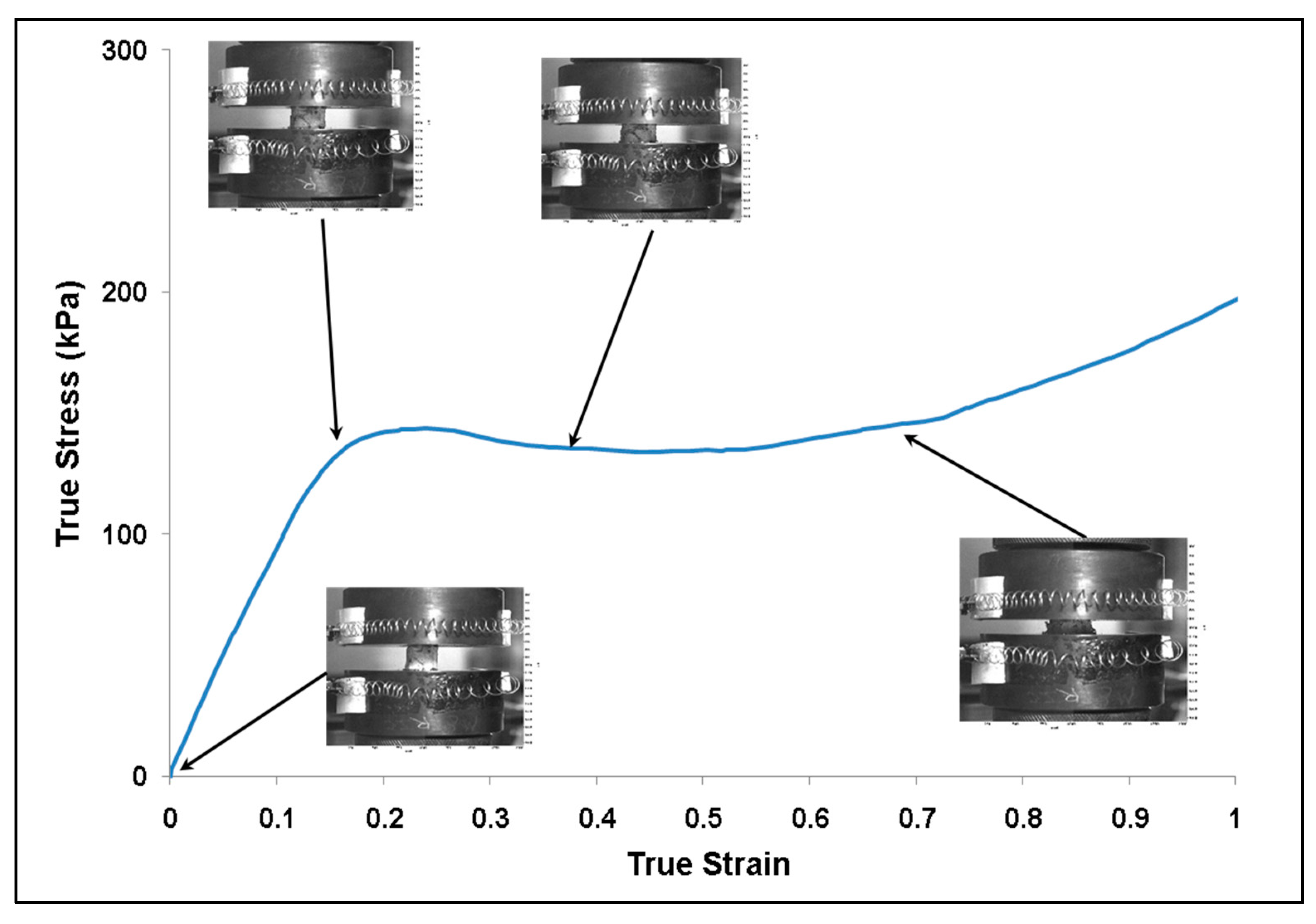 Bioengineering 06 00040 g004