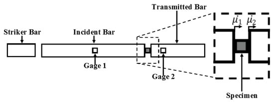 Bioengineering 06 00040 g0a3 550