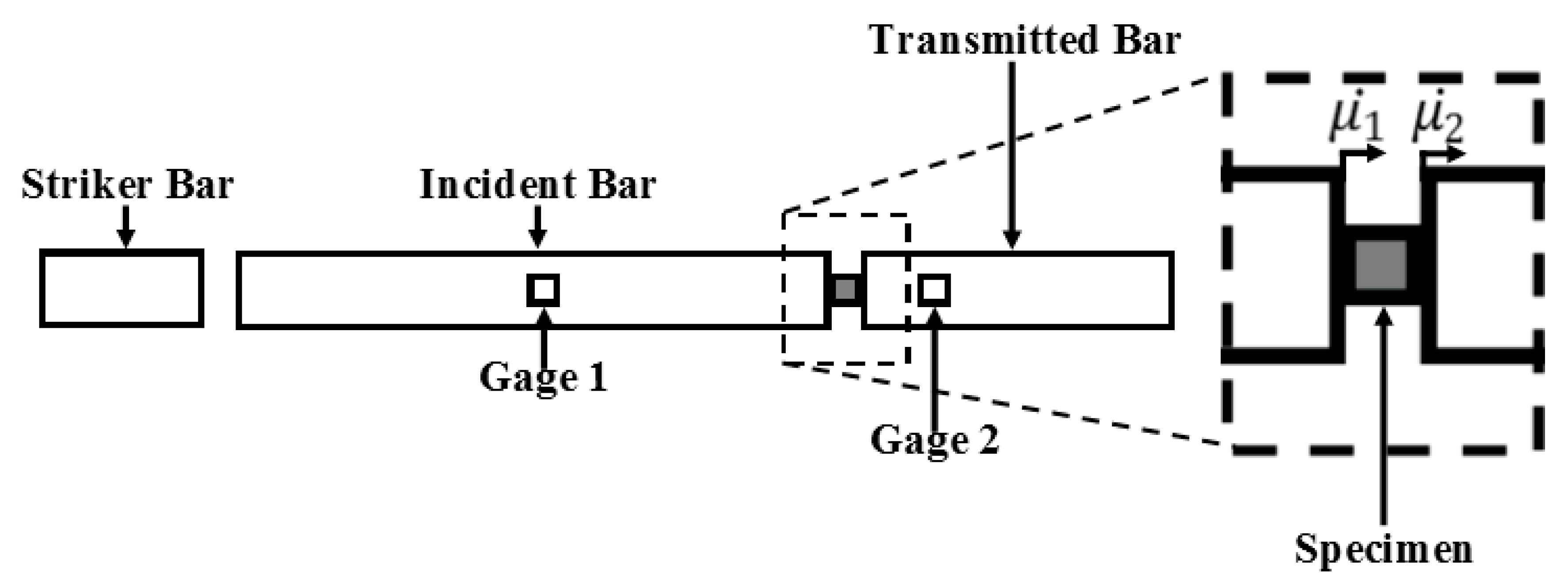Bioengineering 06 00040 g0a3