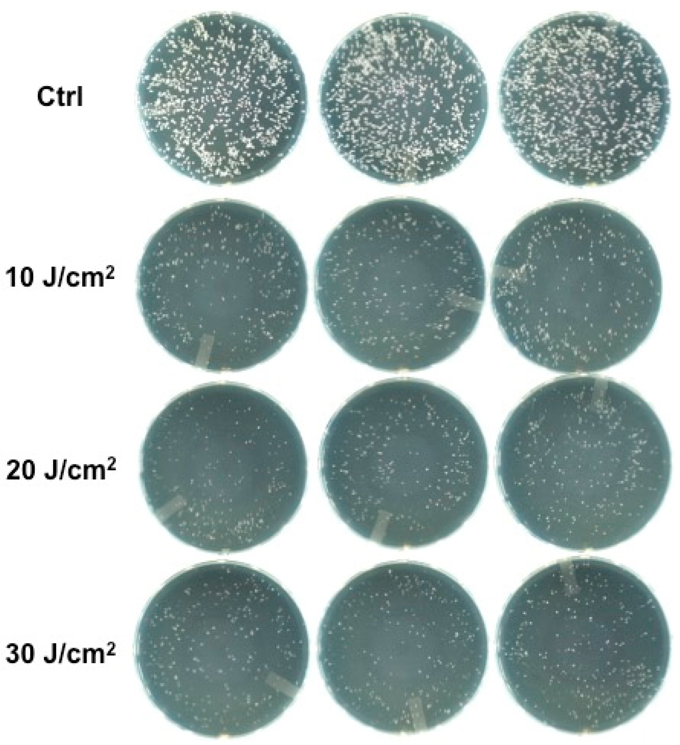 Bioengineering 06 00042 g002