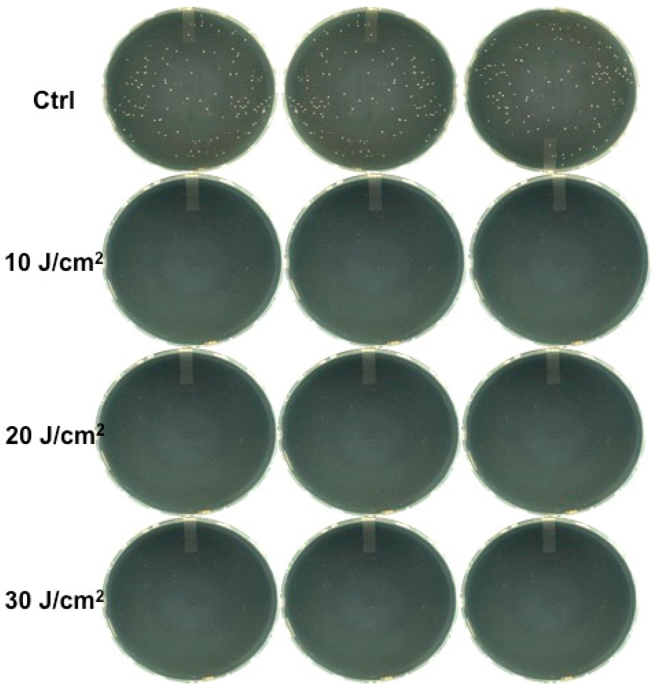 Bioengineering 06 00042 g003