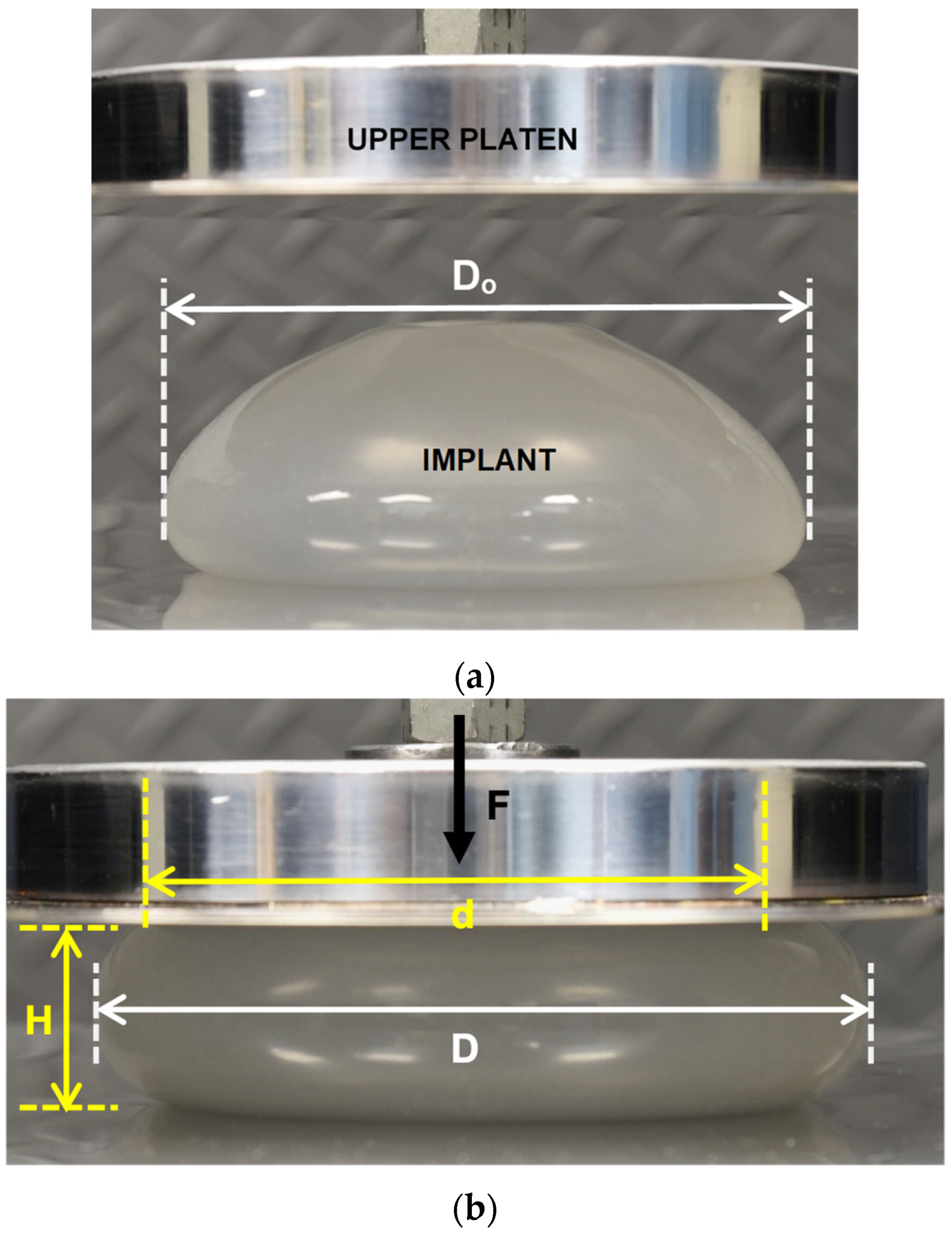 Bioengineering 06 00043 g002 Bioengineering 06 00043 g002