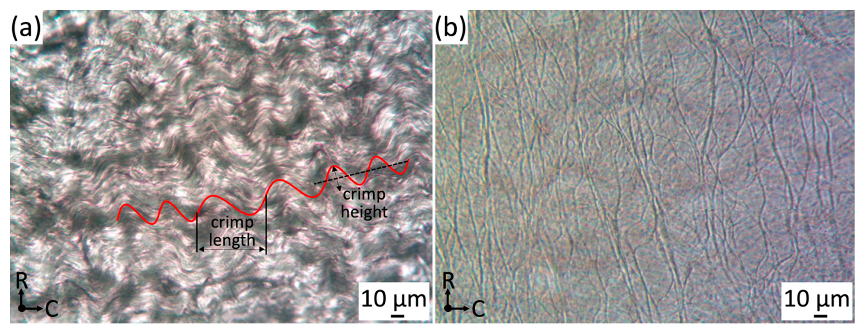 Bioengineering 06 00045 g002
