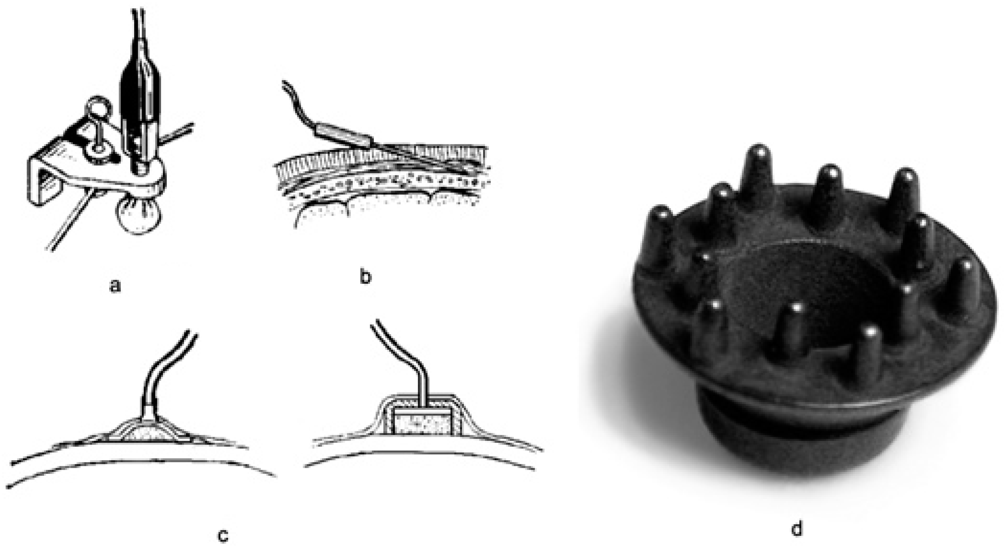 Bioengineering 06 00046 g001