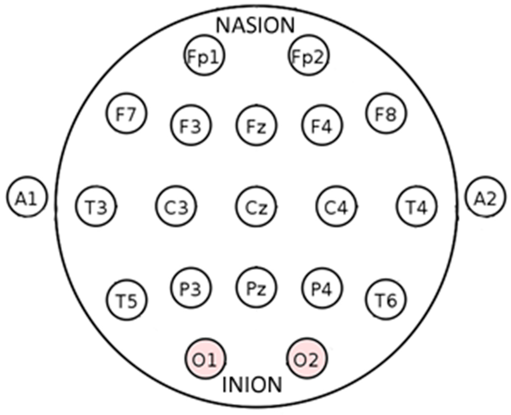 Bioengineering 06 00046 g003