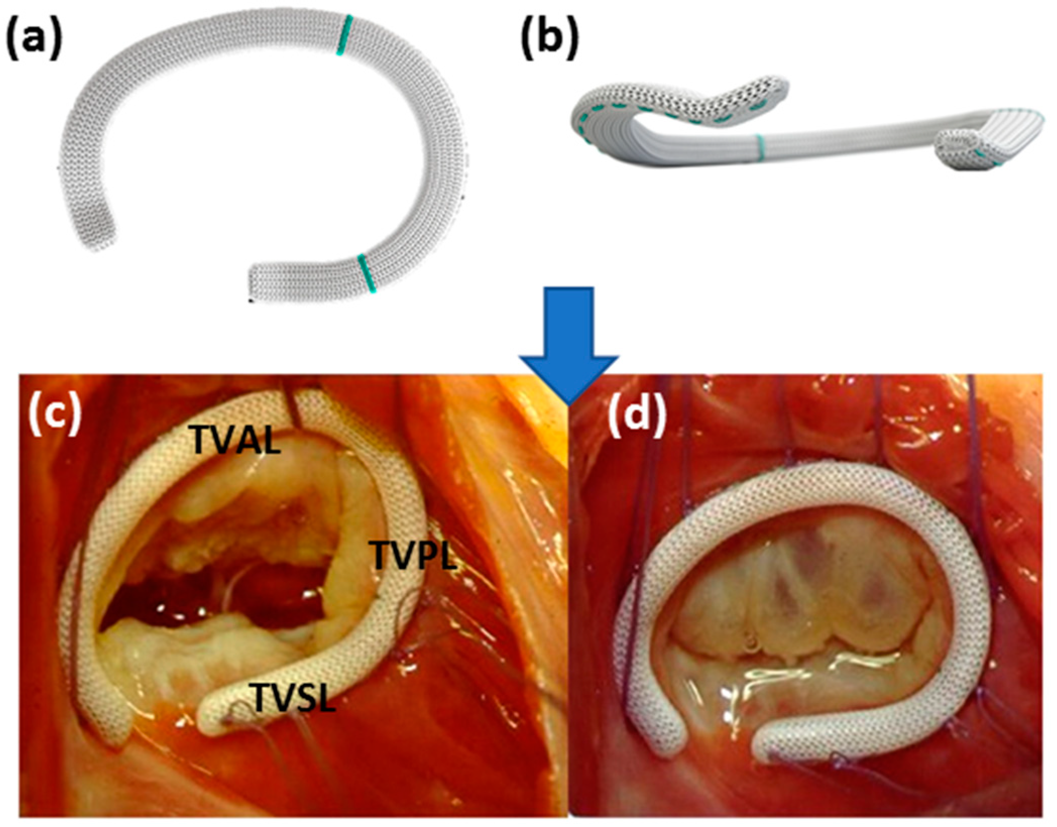 Bioengineering 06 00047 g006