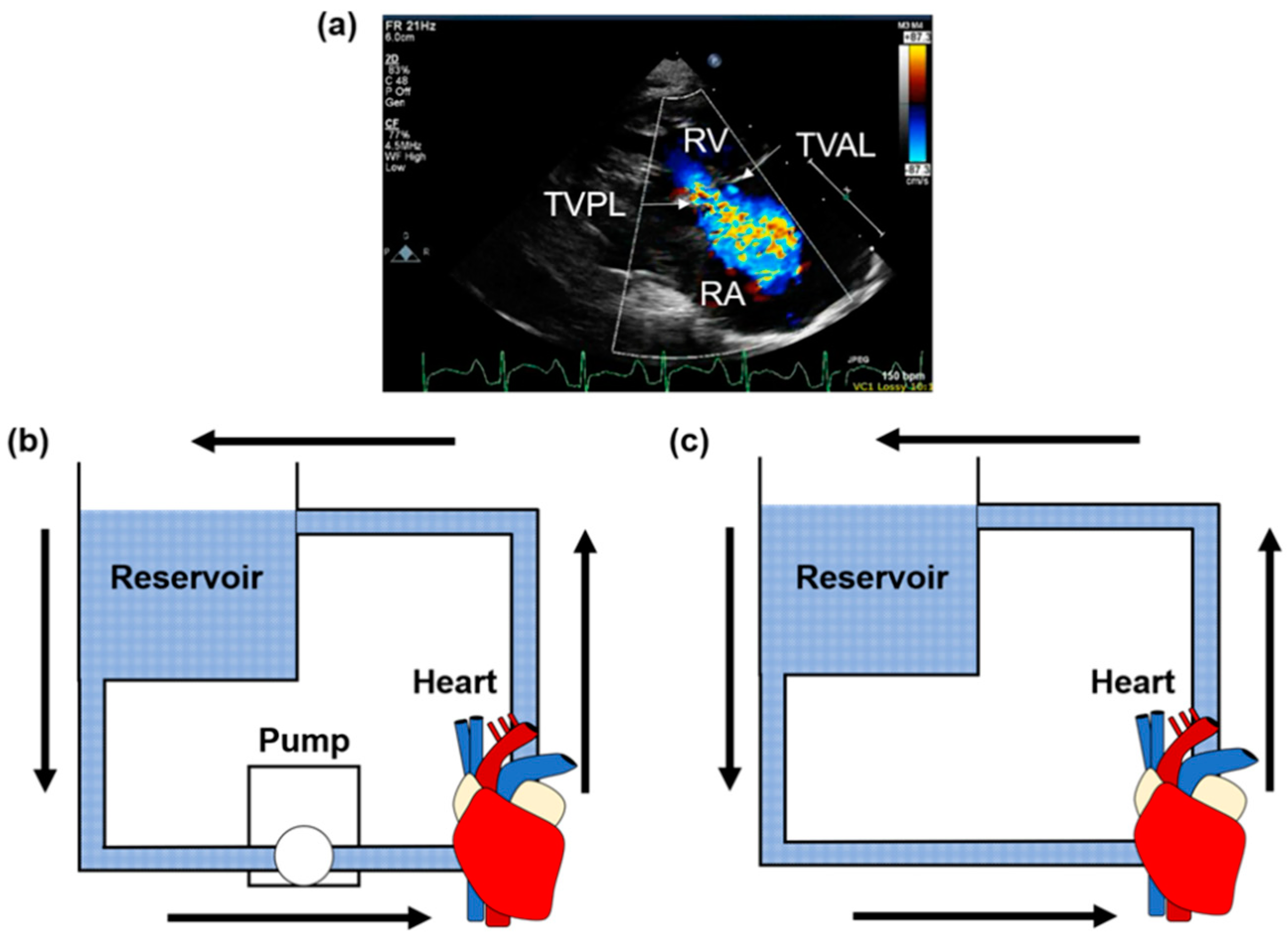 Bioengineering 06 00047 g007