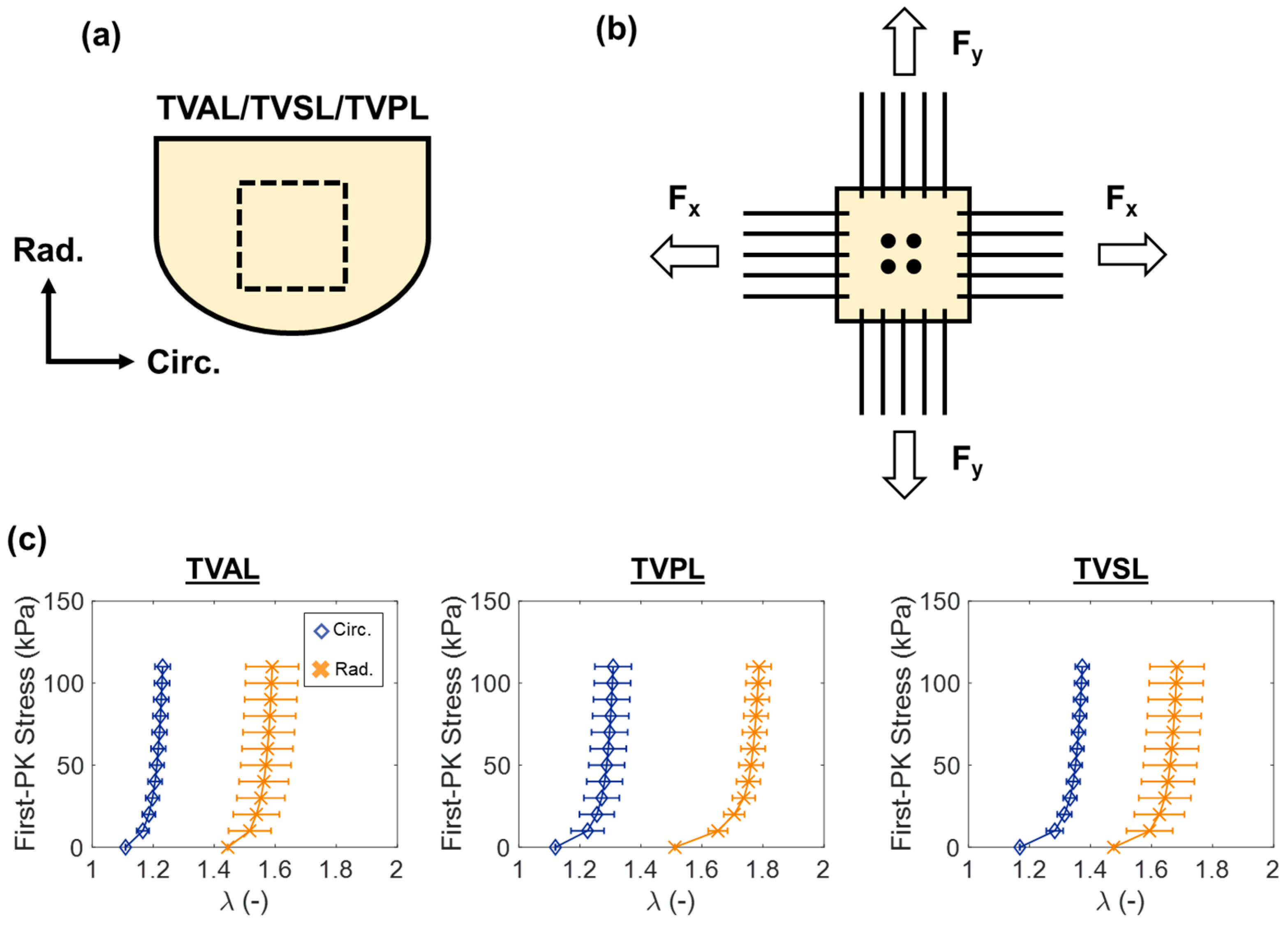 Bioengineering 06 00047 g008