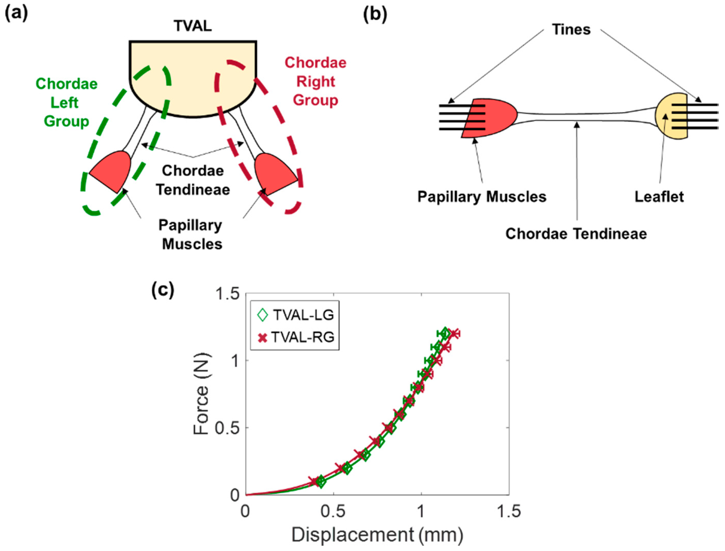 Bioengineering 06 00047 g011