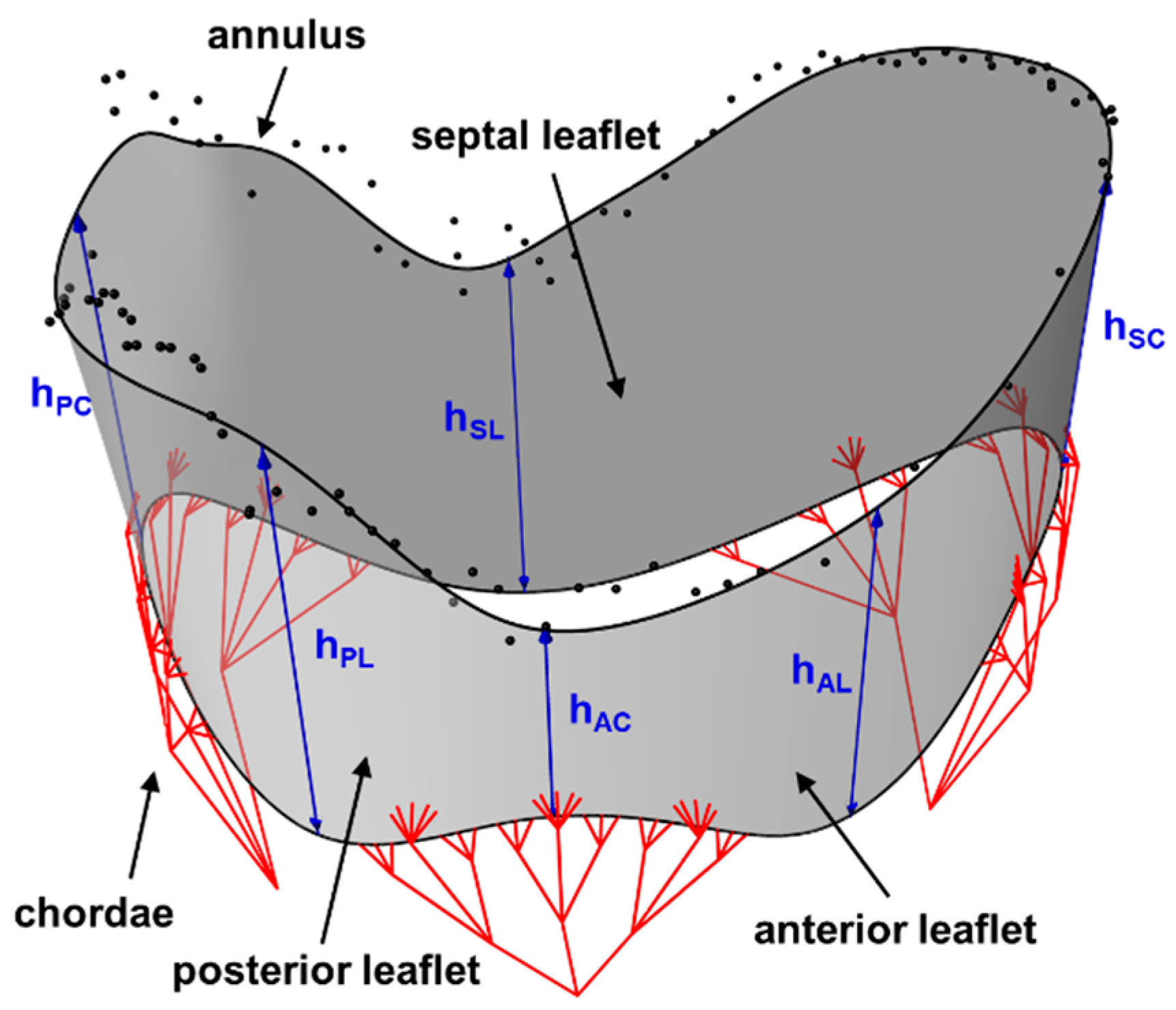 Bioengineering 06 00047 g012