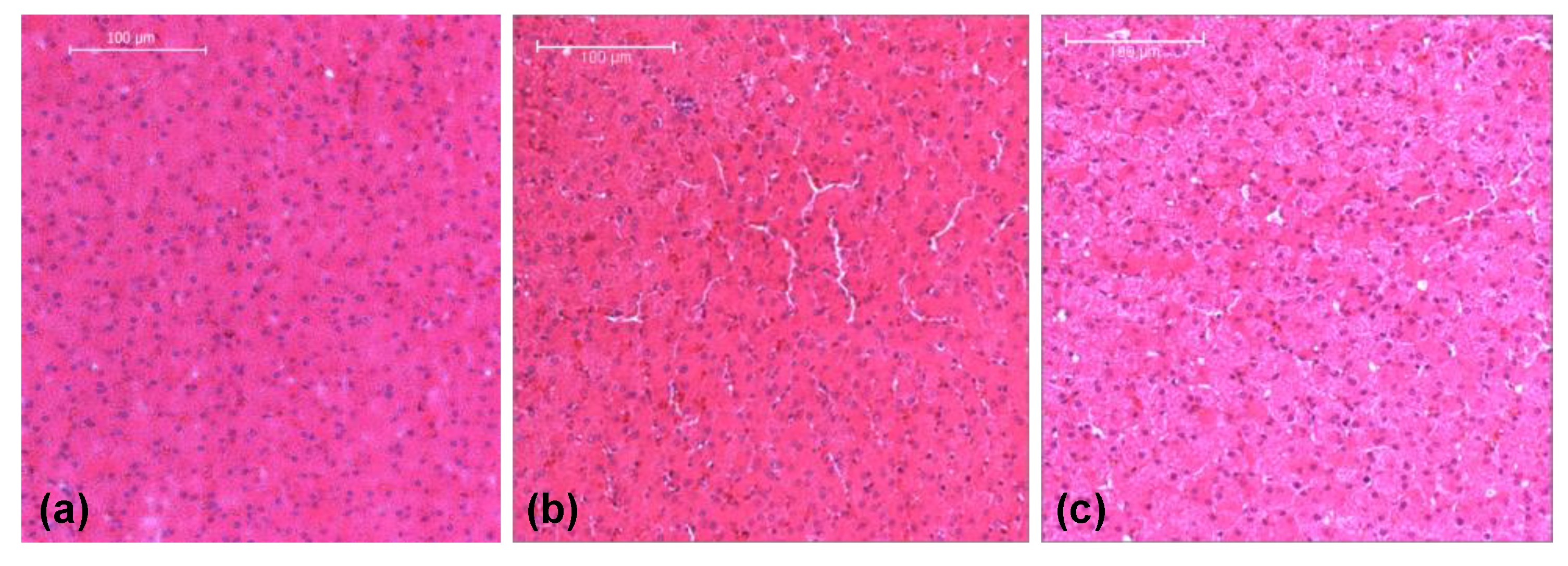 Bioengineering 06 00049 g004