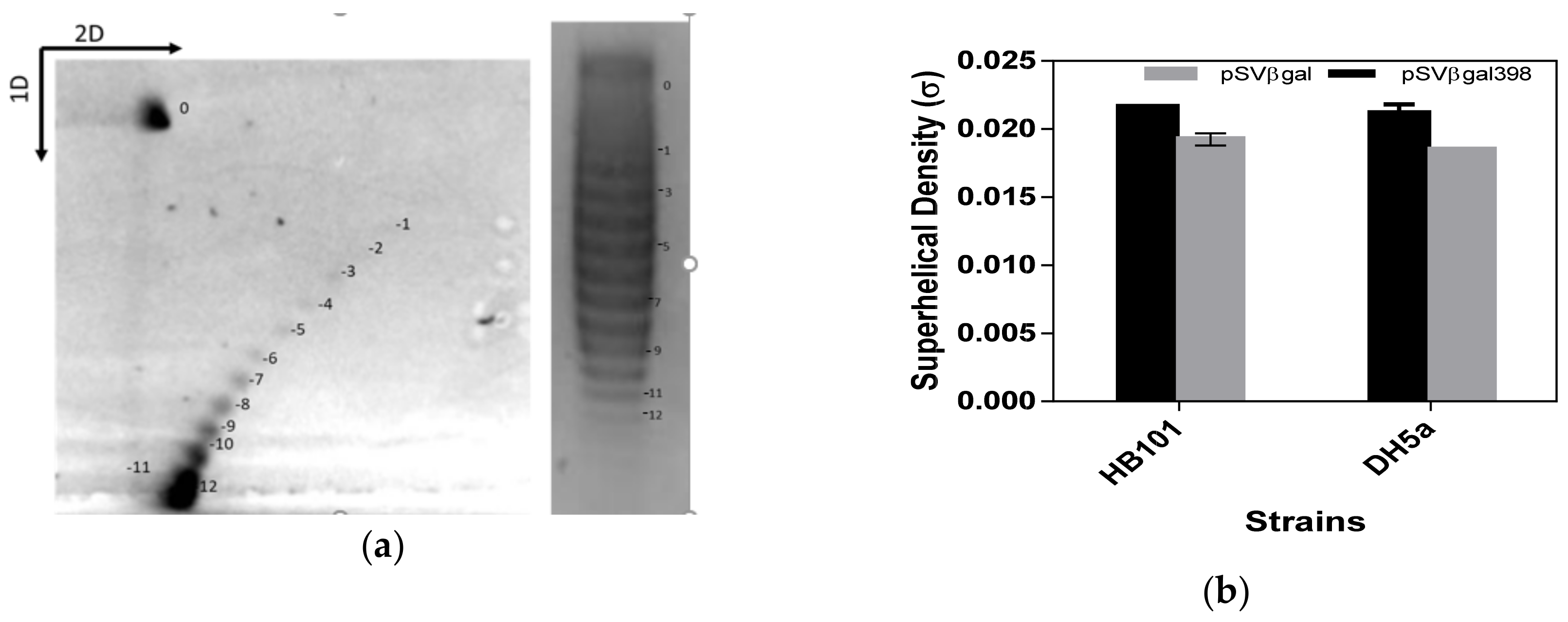 Bioengineering 06 00054 g003