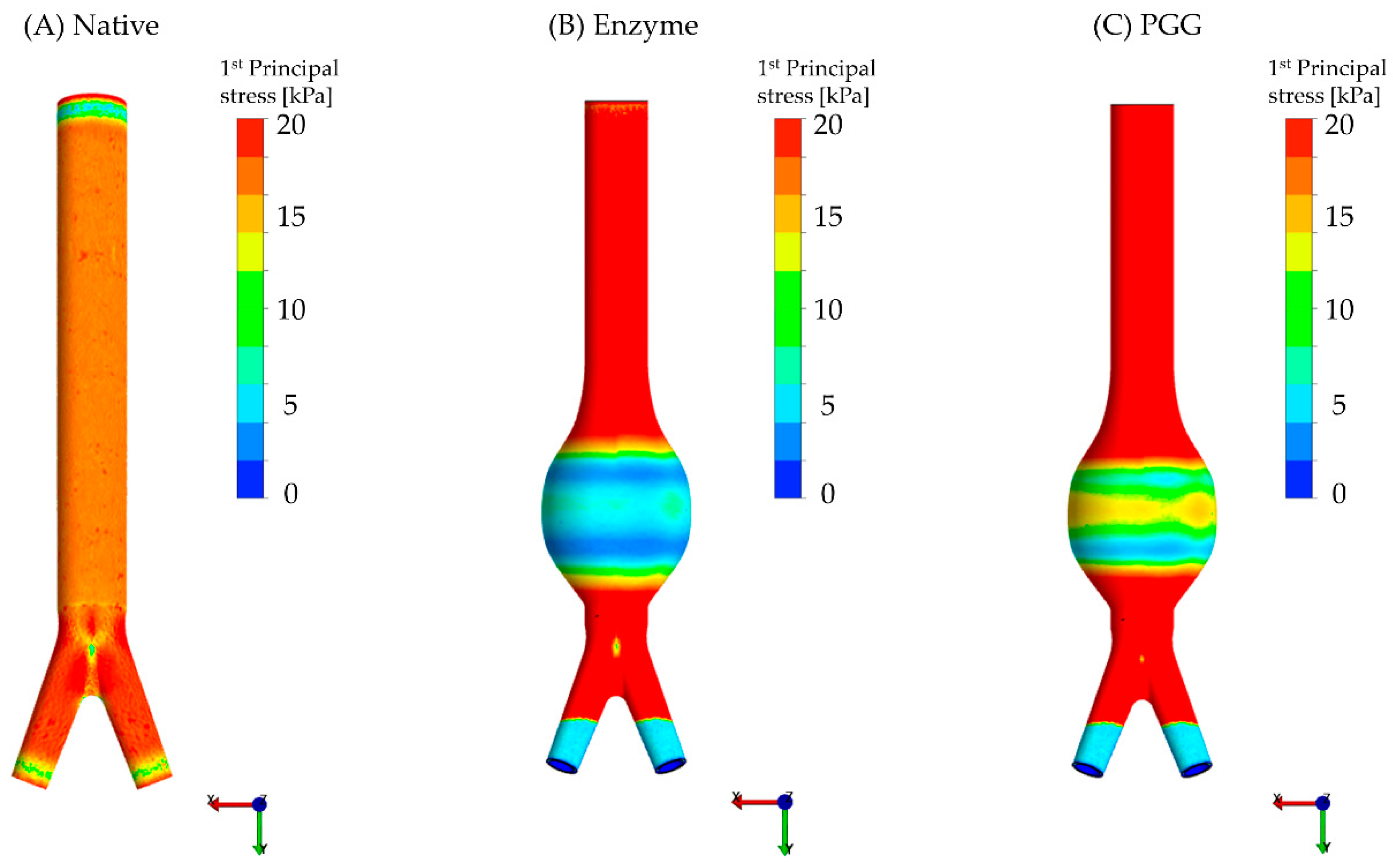 Bioengineering 06 00058 g007