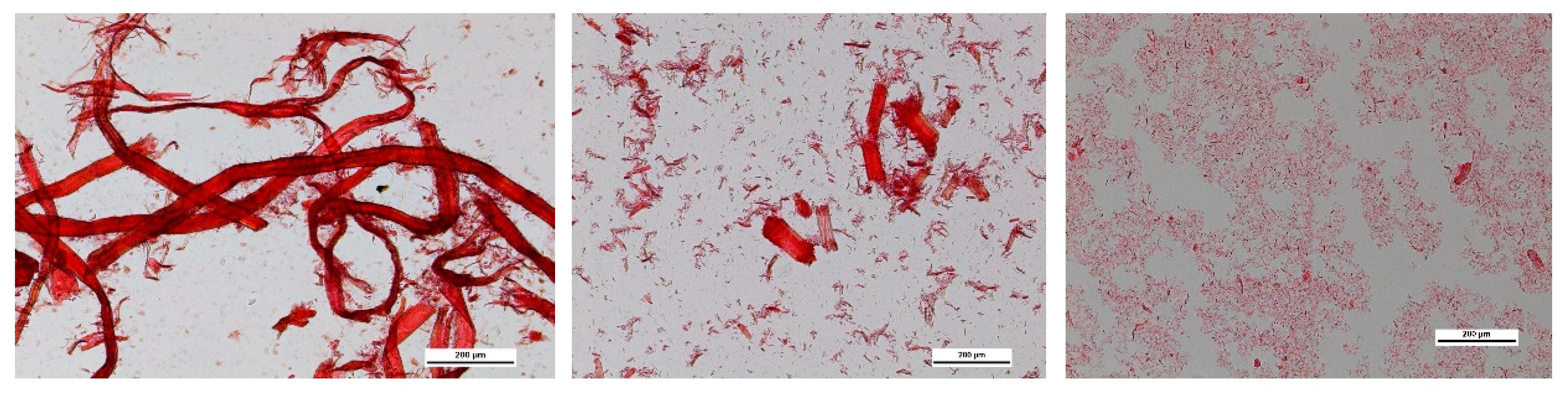 Bioengineering 06 00060 g001