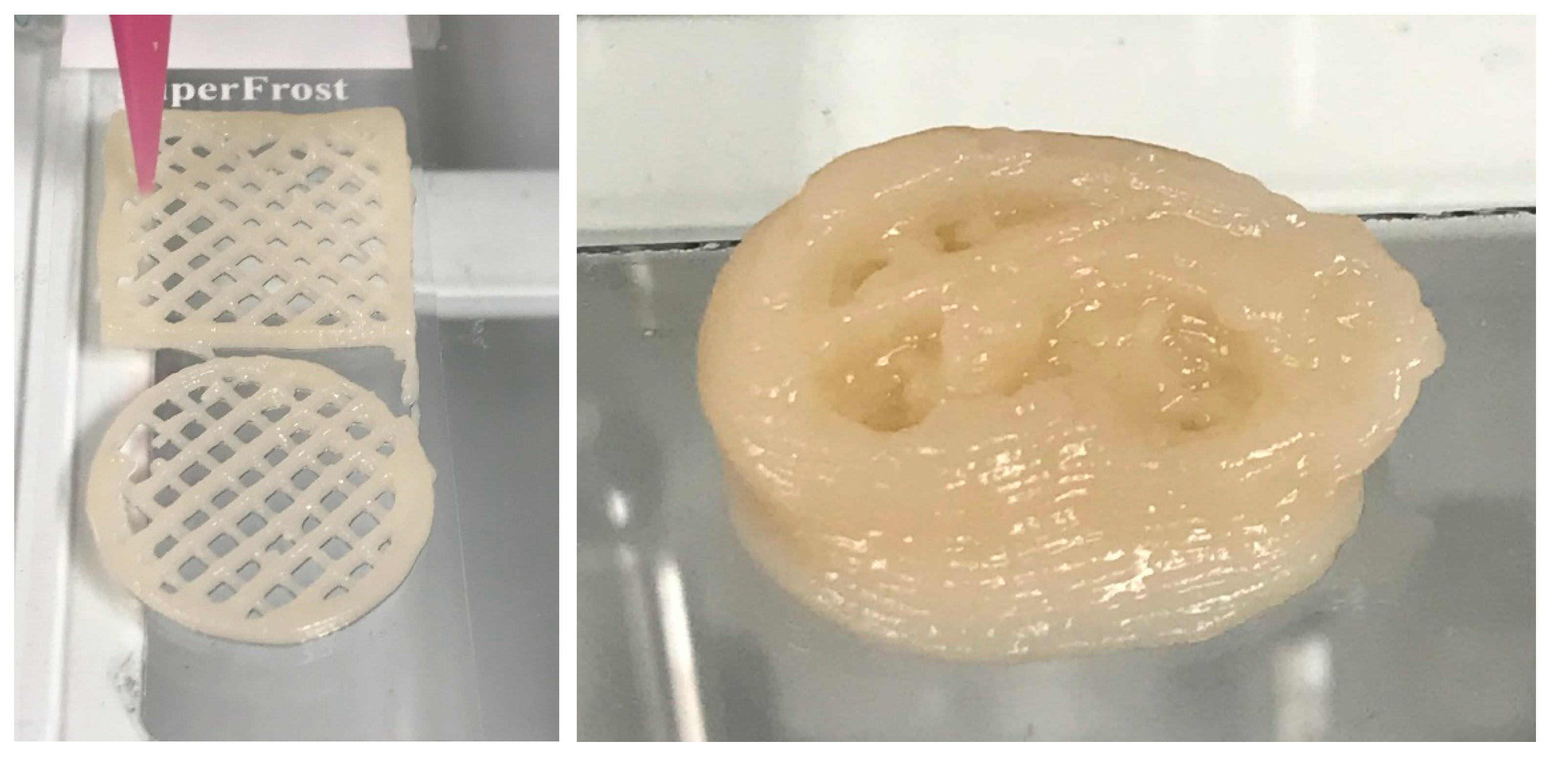 Bioengineering 06 00060 g004