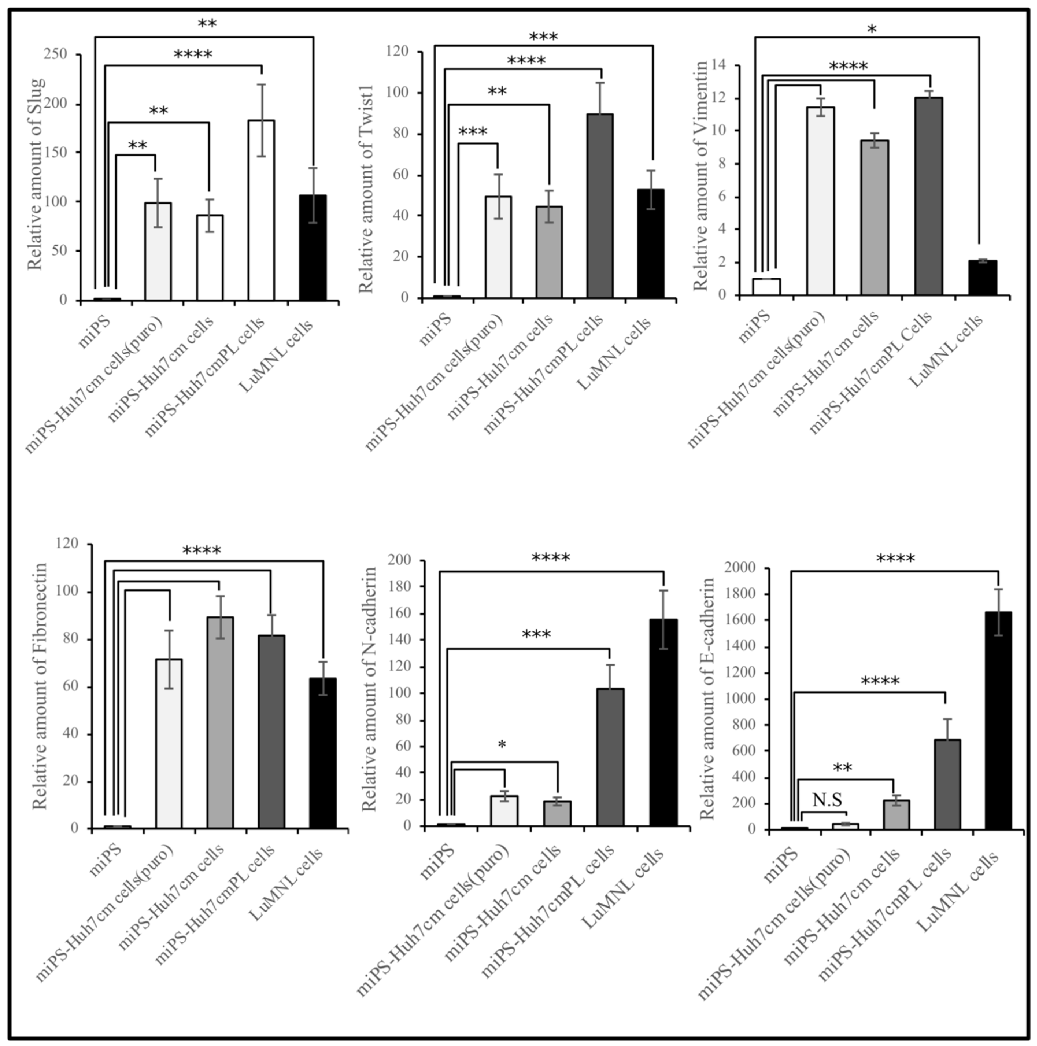 Bioengineering 06 00073 g005 Bioengineering 06 00073 g005