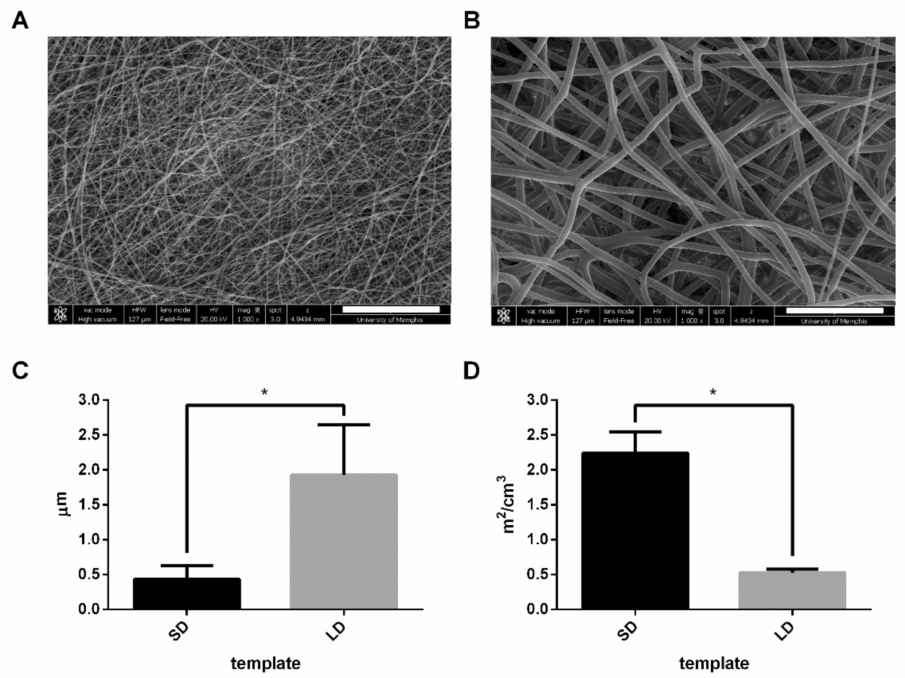 Bioengineering 06 00078 g001 Bioengineering 06 00078 g001