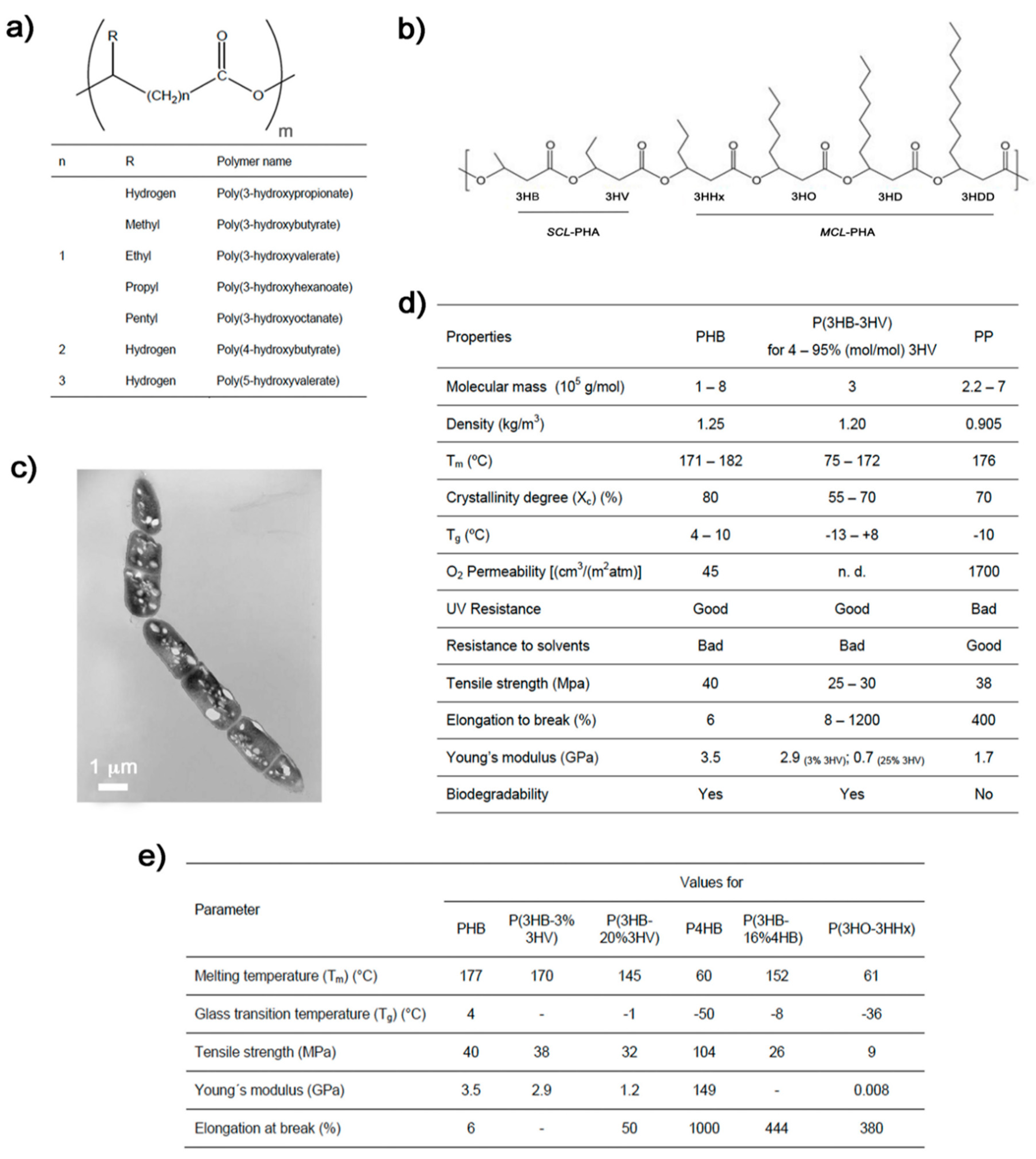 Bioengineering 06 00082 g001