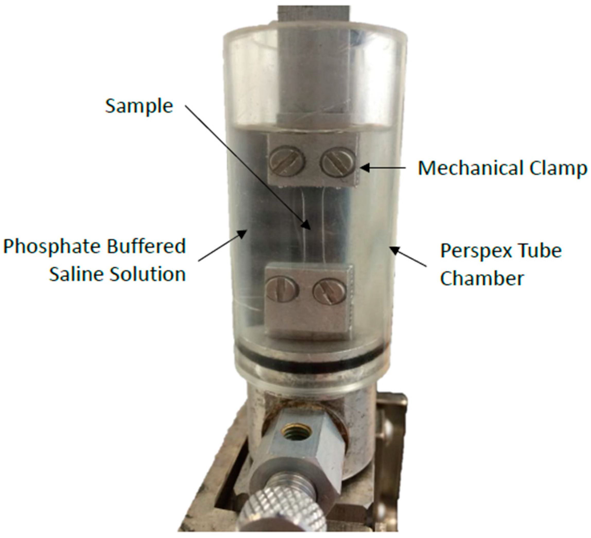 Bioengineering 06 00094 g002 Bioengineering 06 00094 g002