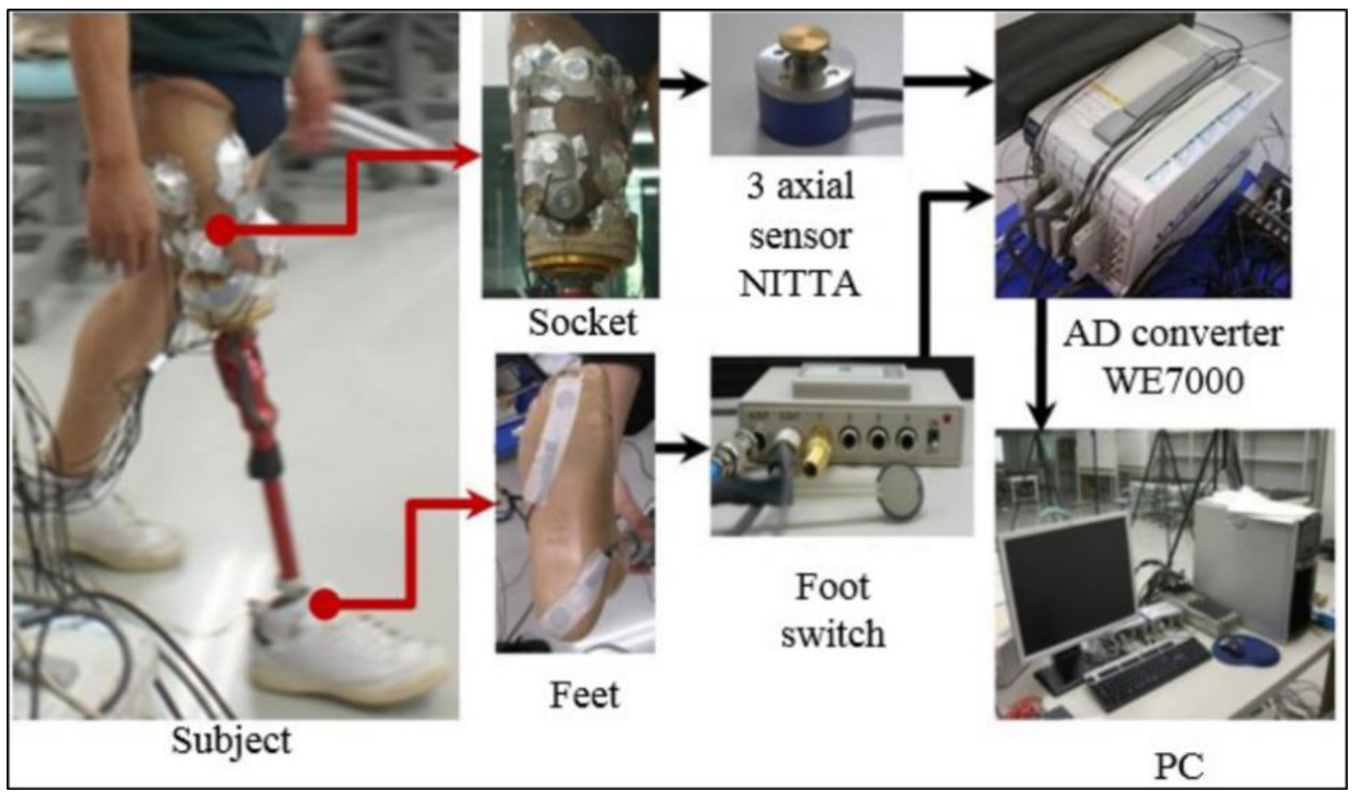 Bioengineering 06 00098 g003 Bioengineering 06 00098 g003