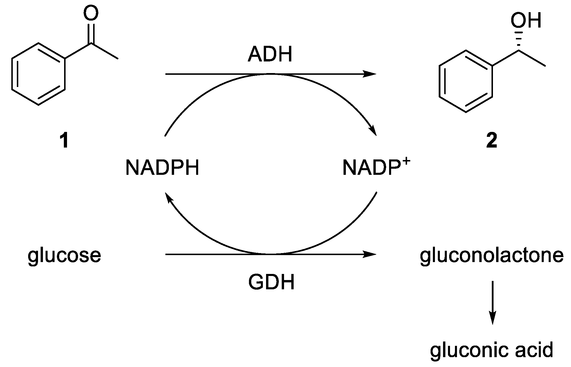 Bioengineering 06 00099 g002 Bioengineering 06 00099 g002