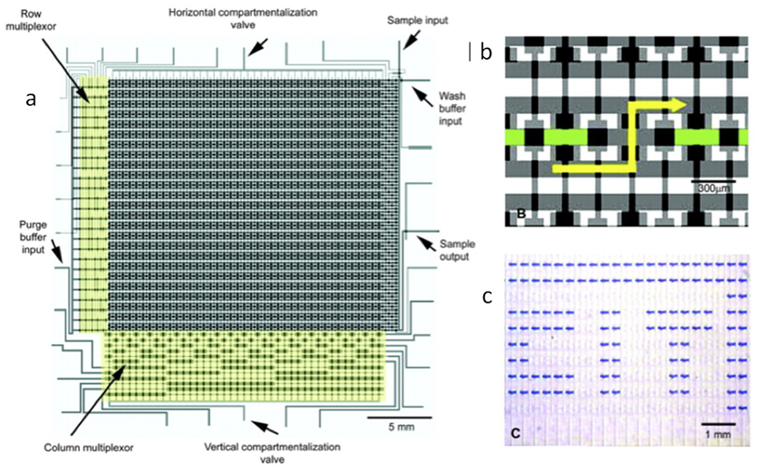 Bioengineering 06 00109 g003