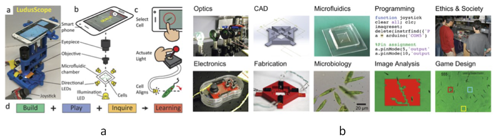 Bioengineering 06 00109 g011