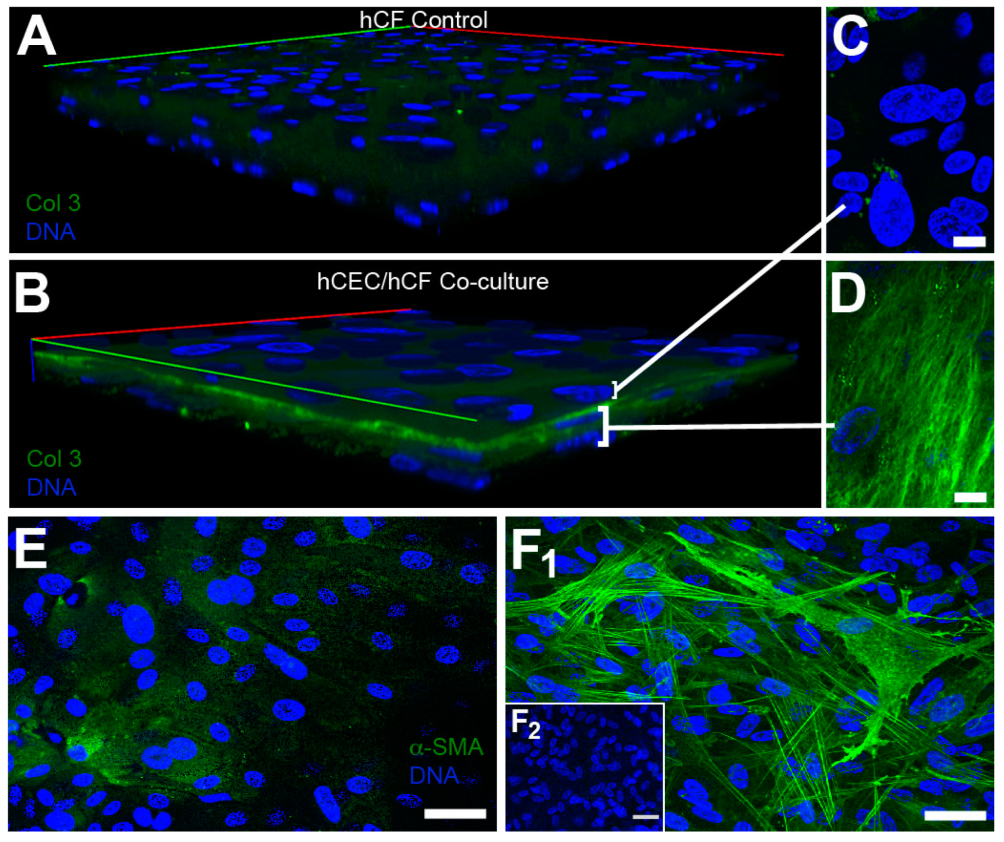 Bioengineering 06 00110 g005 Bioengineering 06 00110 g005