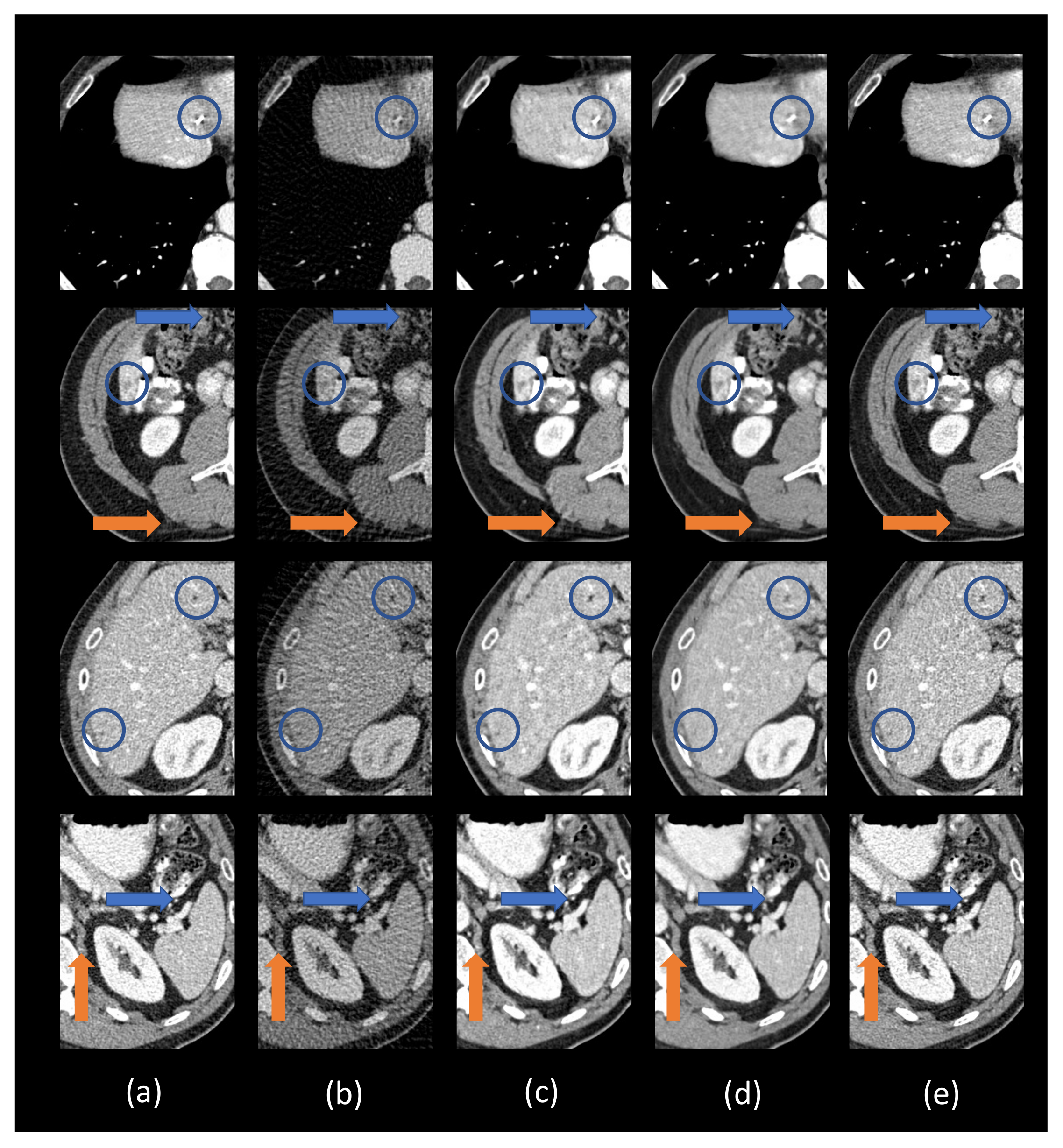 Bioengineering 06 00111 g004