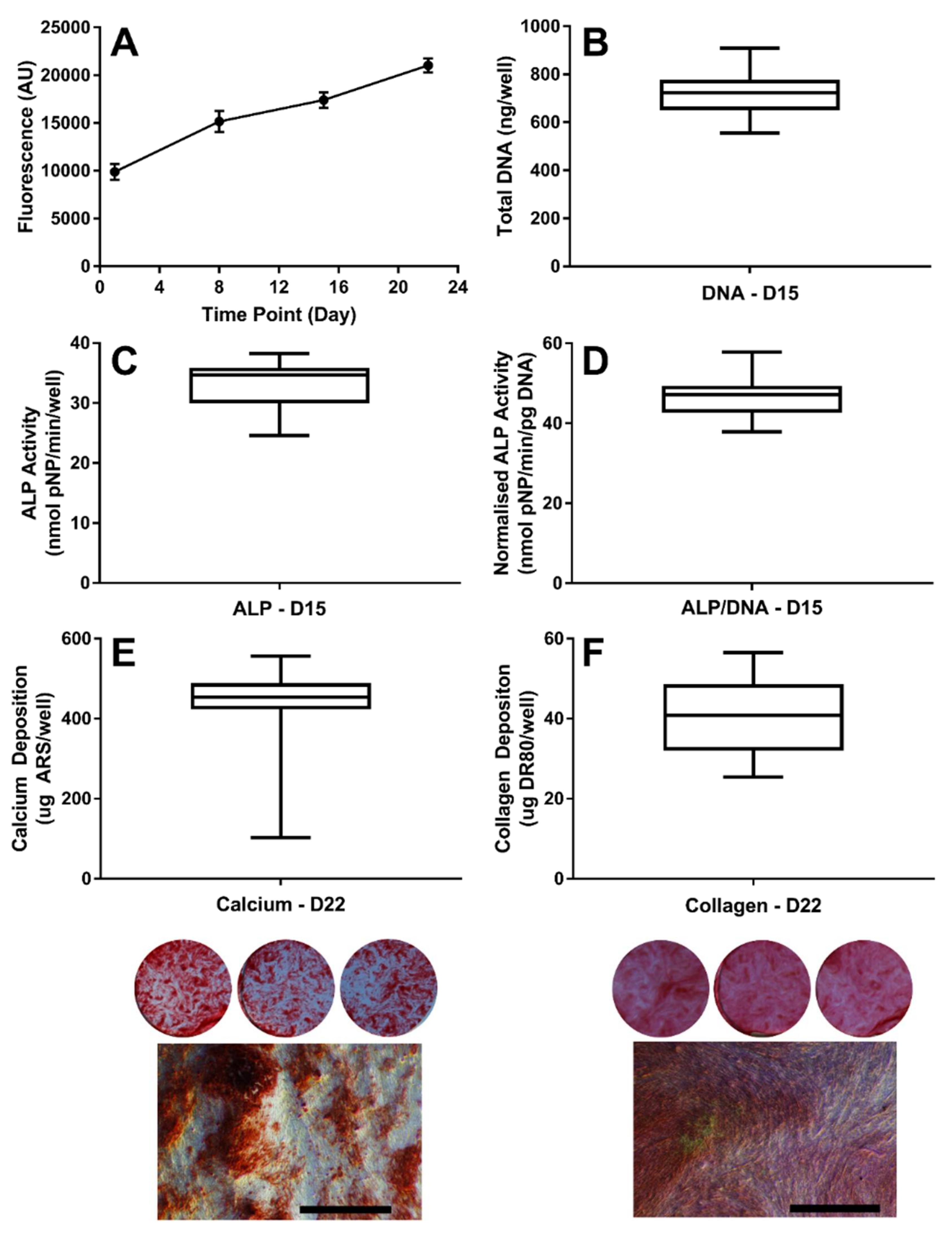 Bioengineering 07 00012 g001 Bioengineering 07 00012 g001