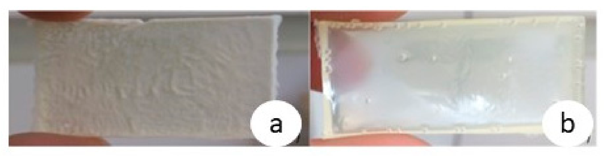 Bioengineering 07 00013 g003