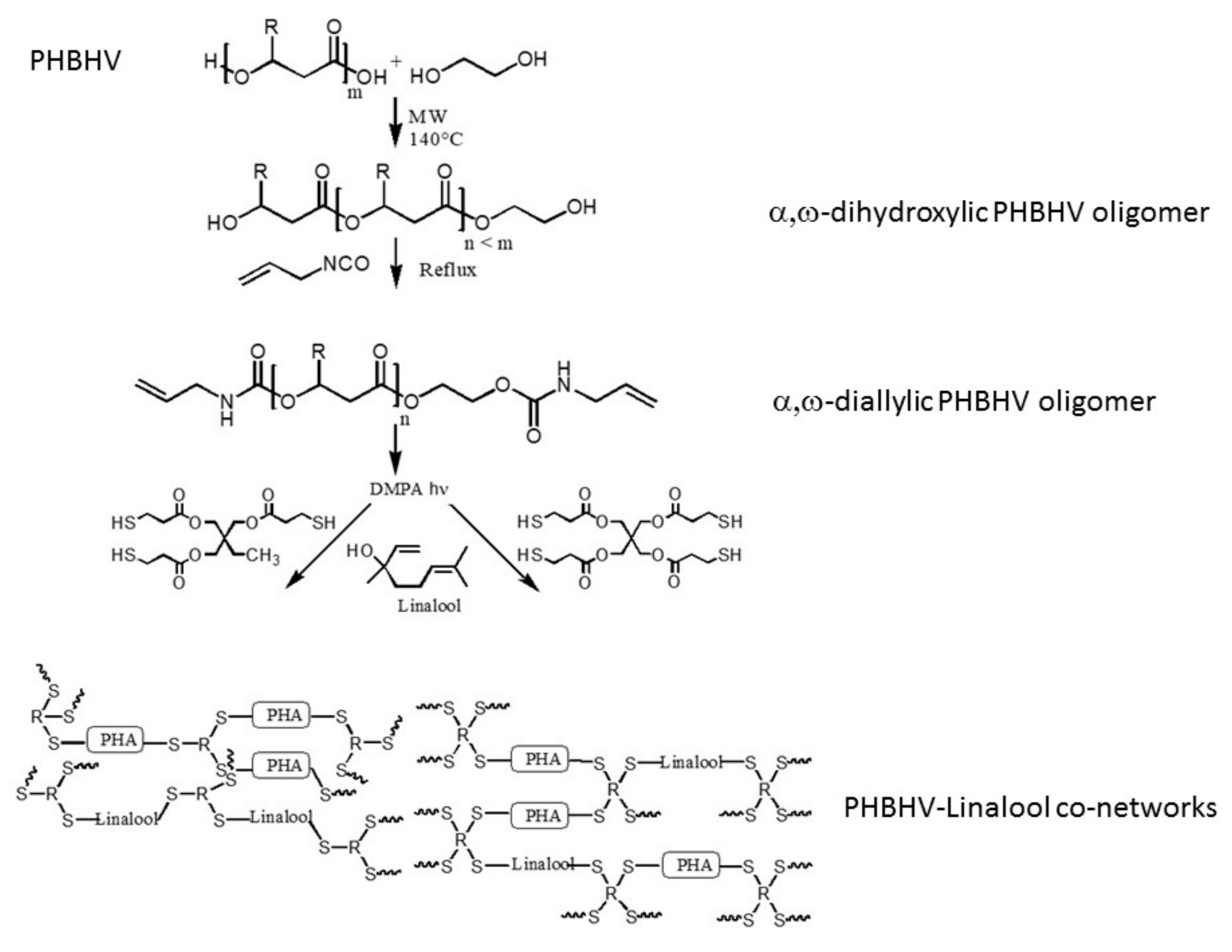Bioengineering 07 00013 sch001