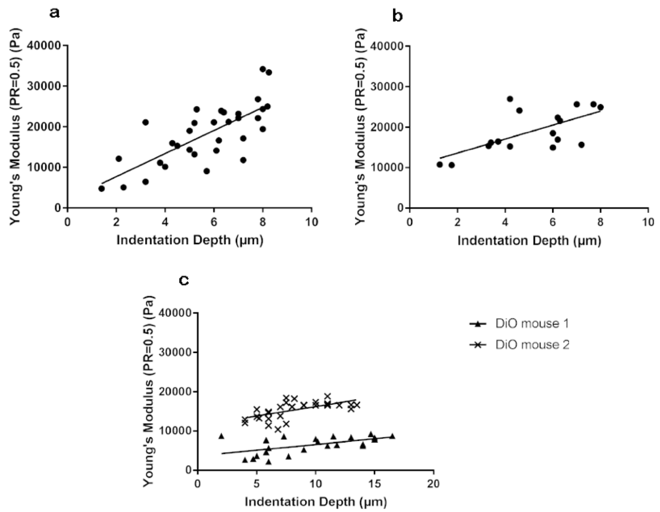 Bioengineering 07 00014 g006