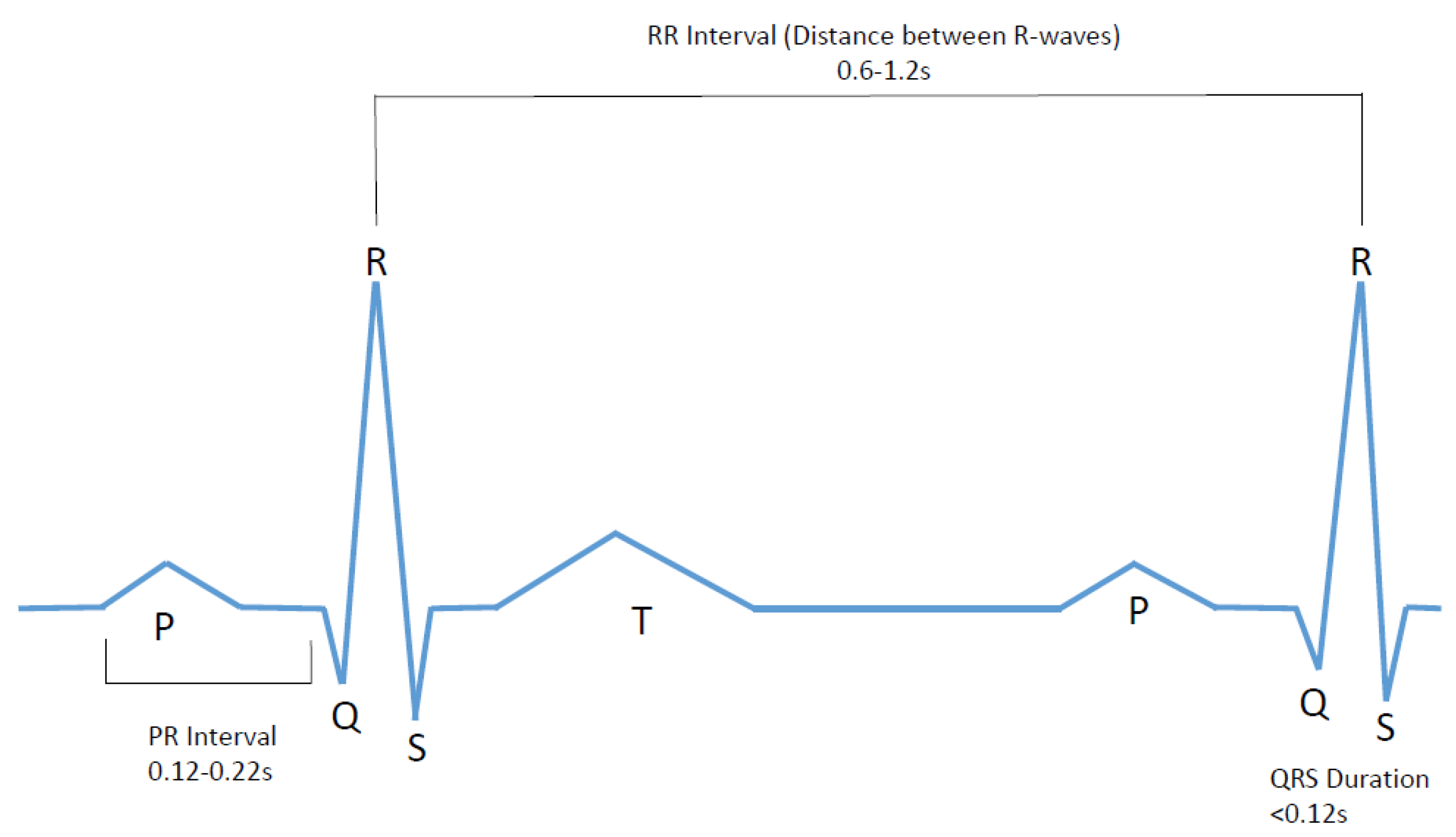Bioengineering 07 00016 g001