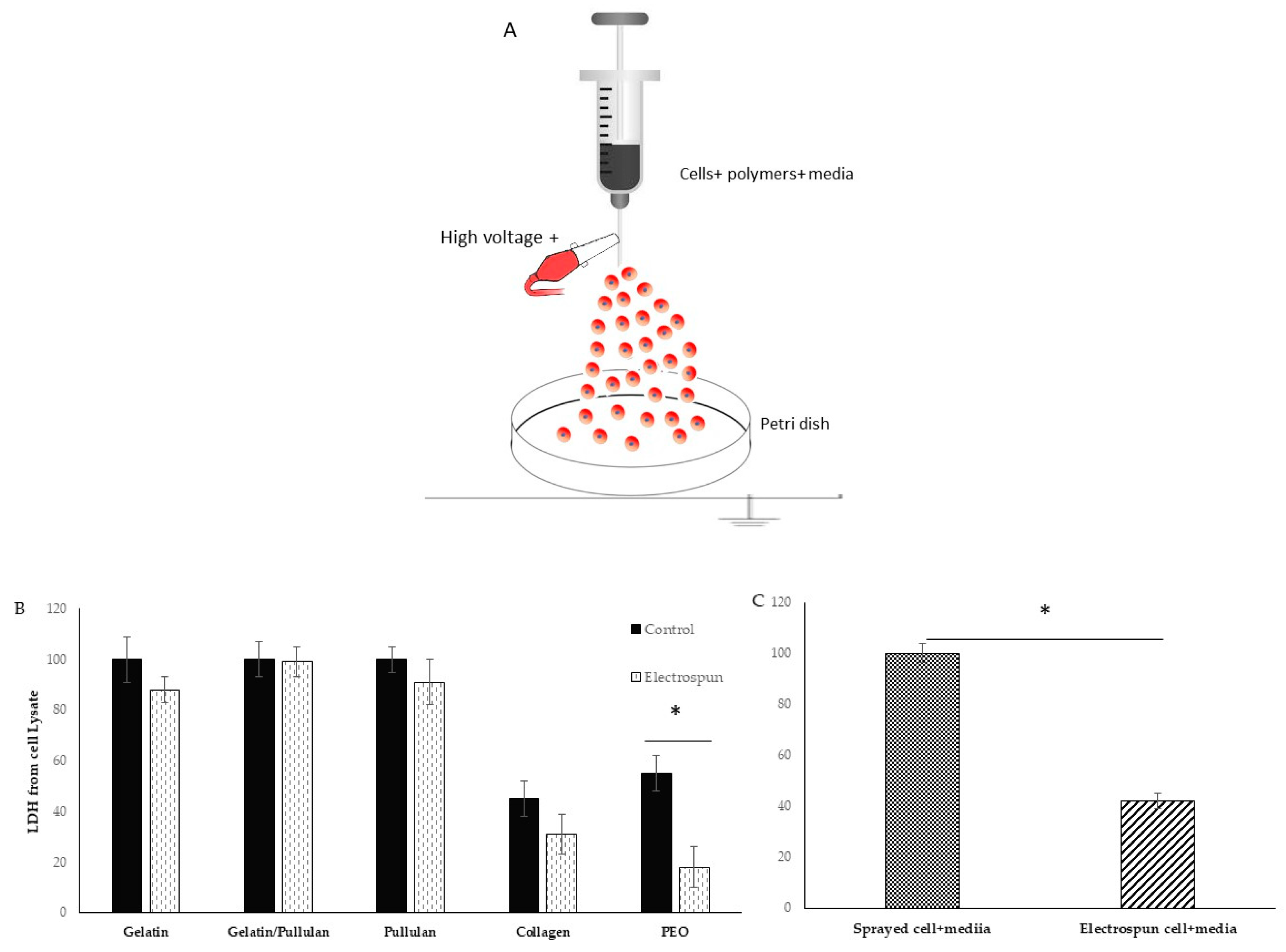 Bioengineering 07 00021 g001