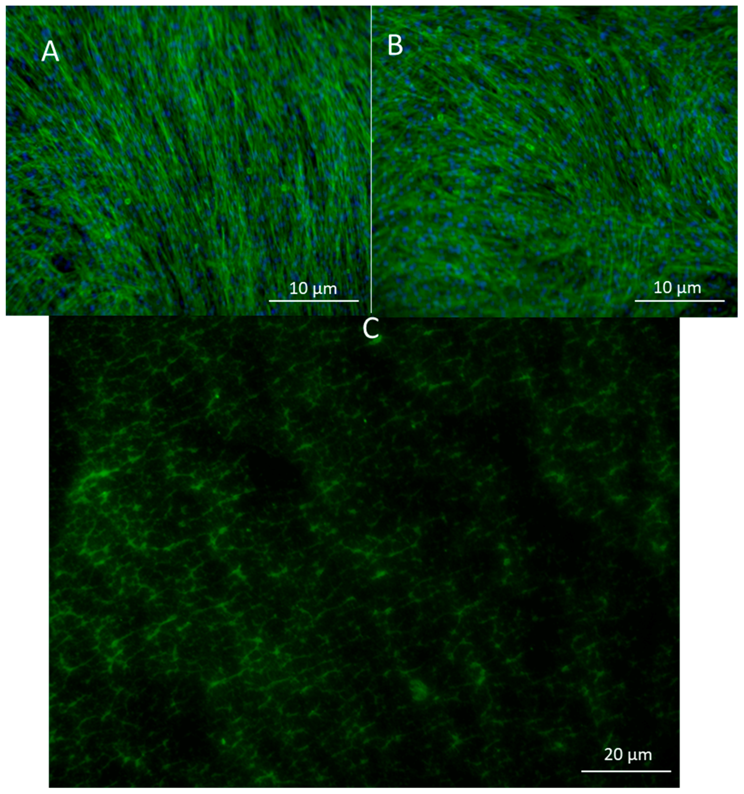 Bioengineering 07 00021 g003
