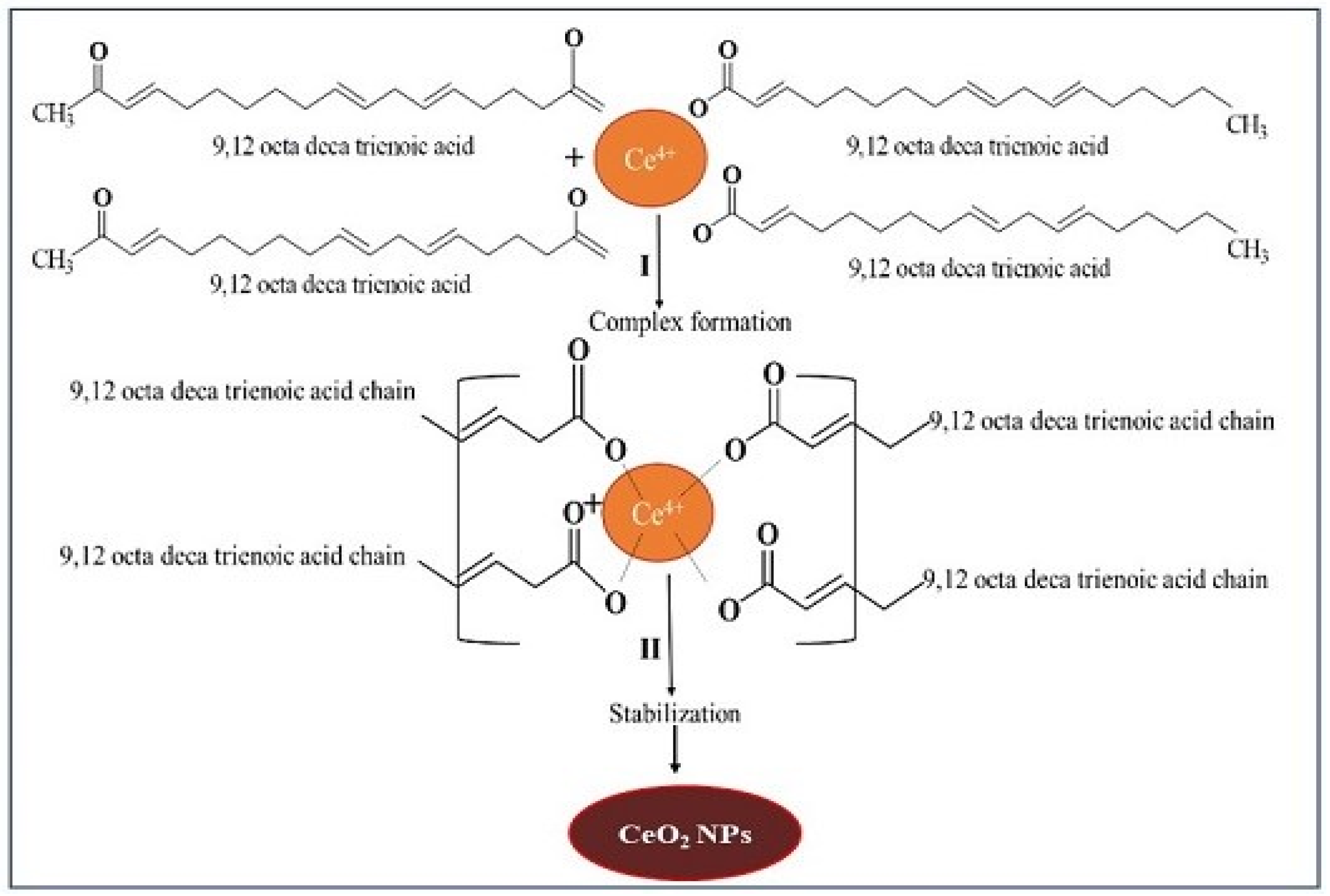 Bioengineering 07 00026 g001