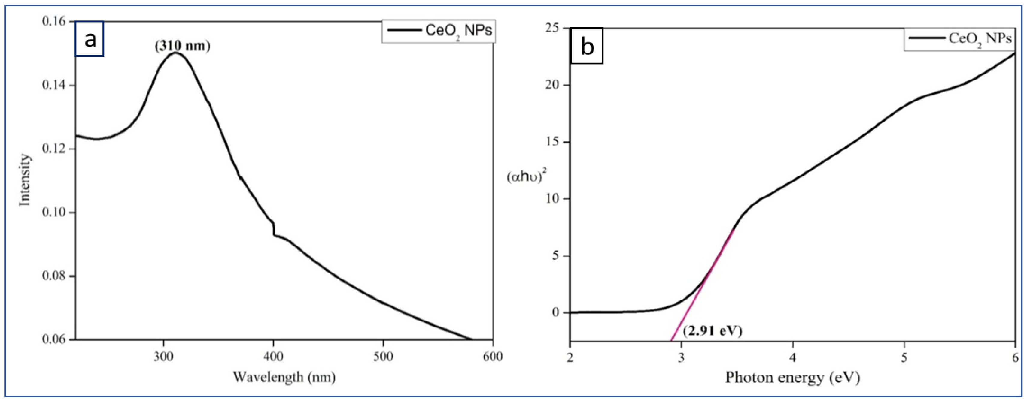 Bioengineering 07 00026 g002