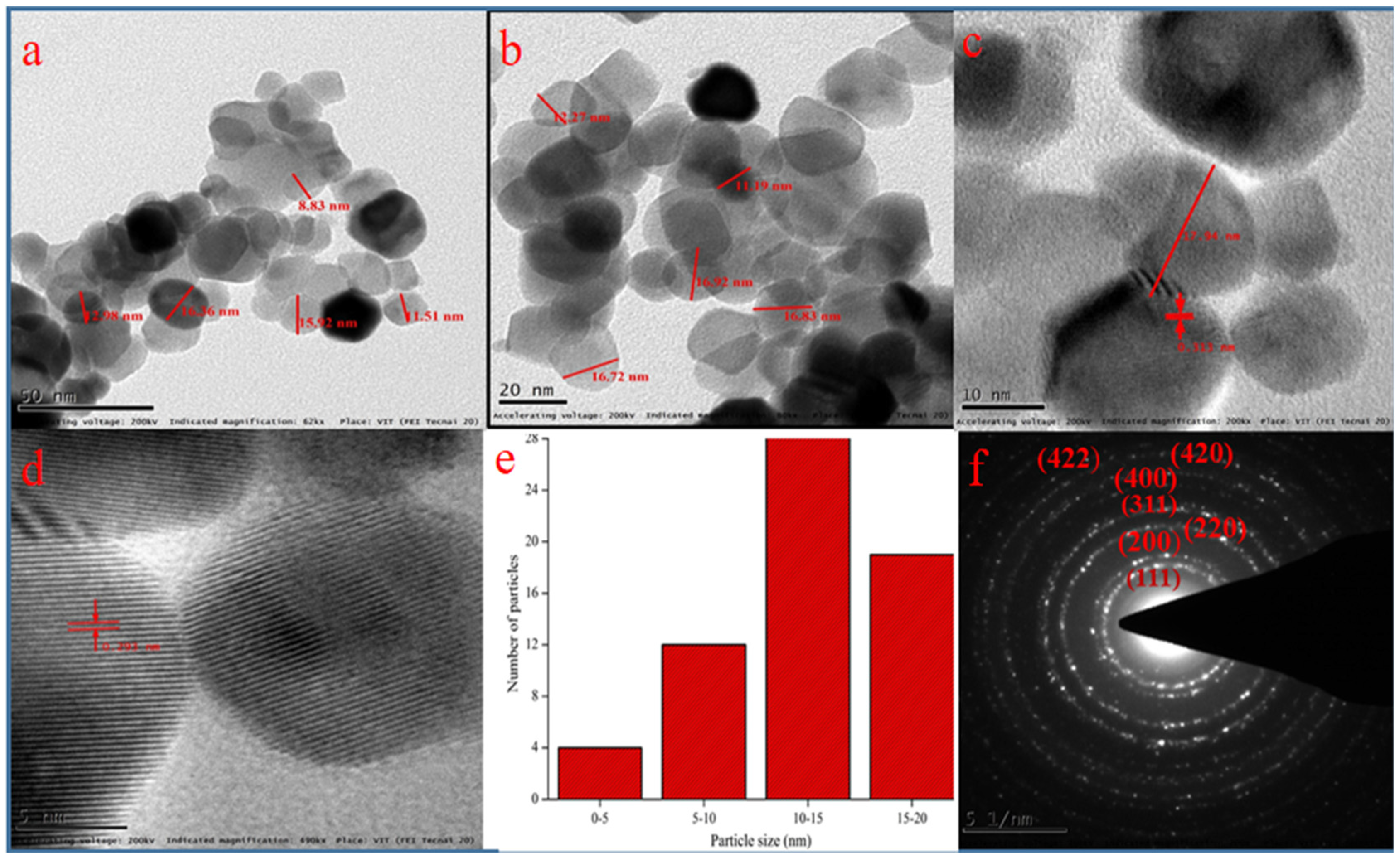 Bioengineering 07 00026 g004
