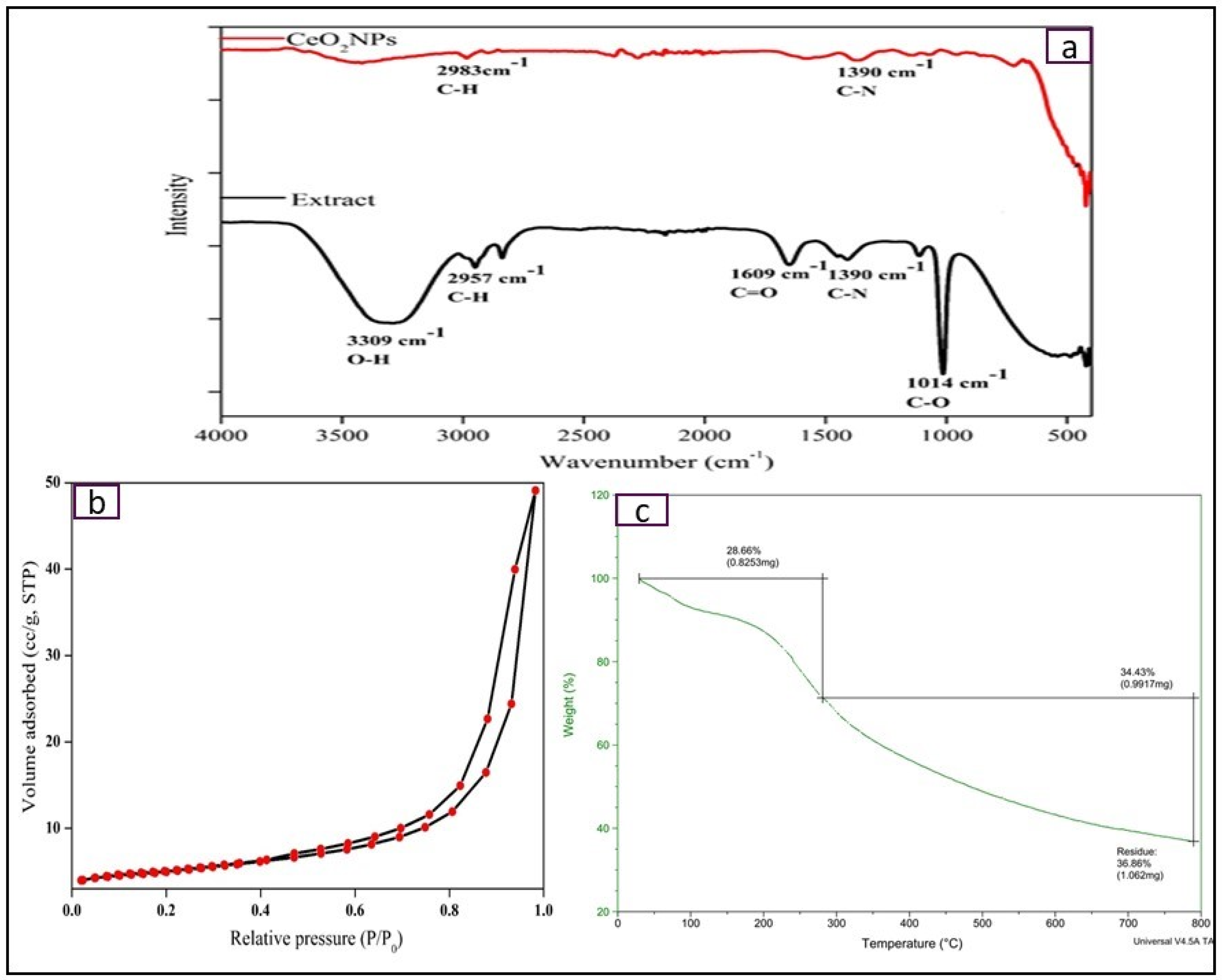 Bioengineering 07 00026 g005