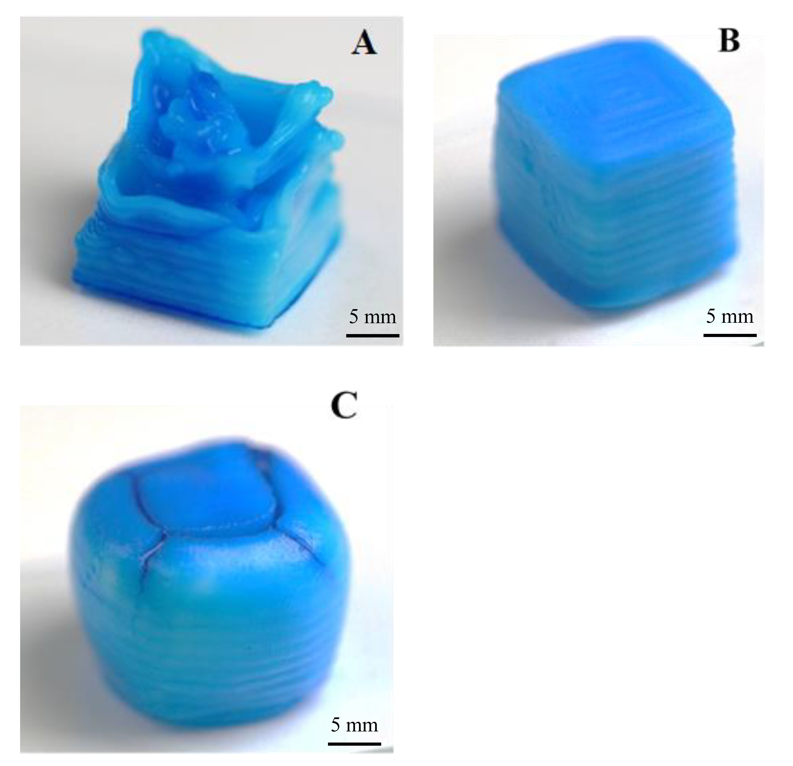 Bioengineering 07 00030 g004