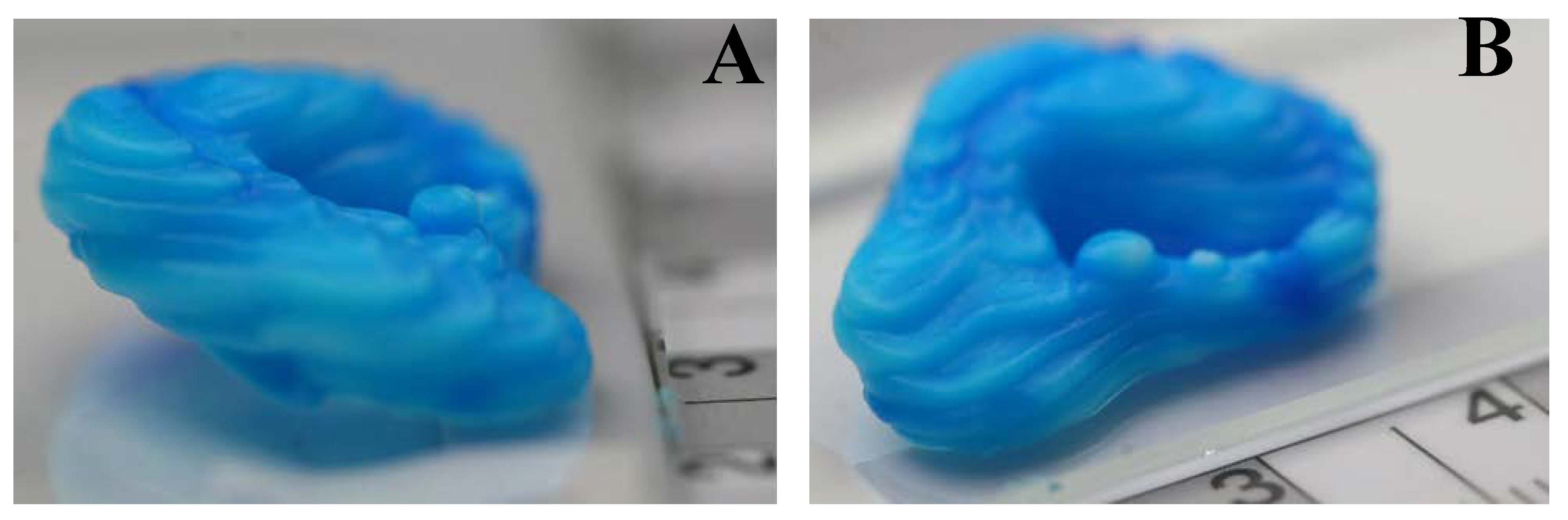 Bioengineering 07 00030 g007