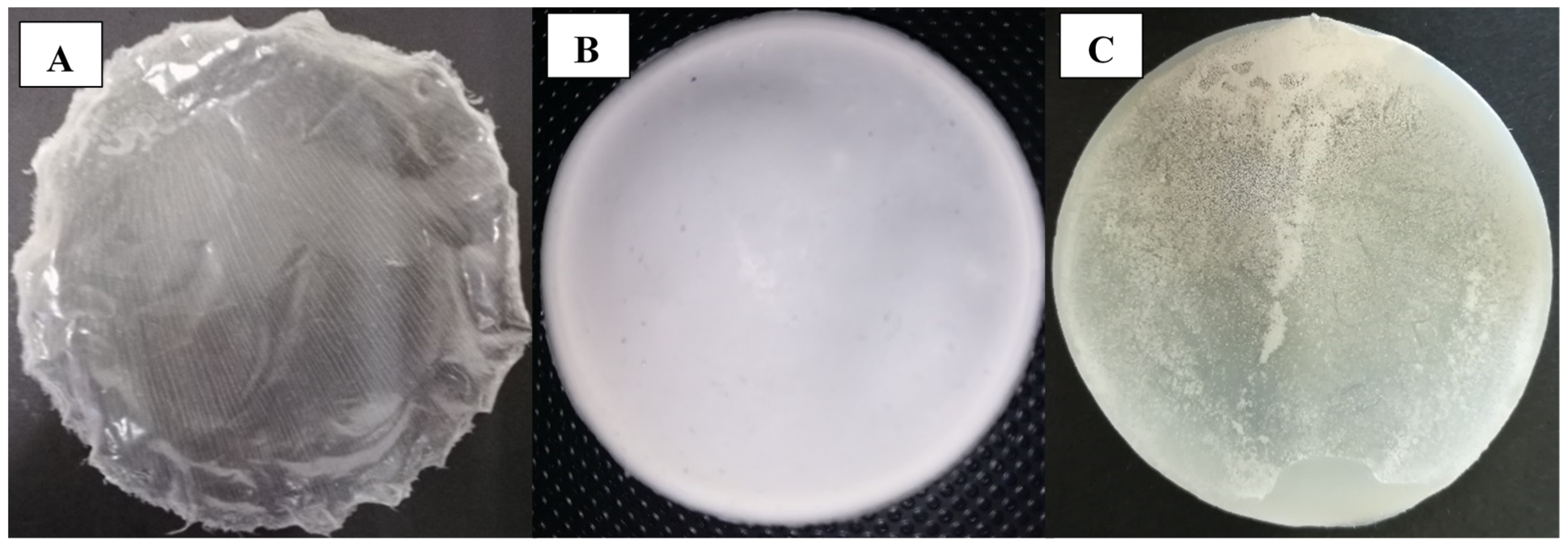 Bioengineering 07 00034 g005 Bioengineering 07 00034 g005