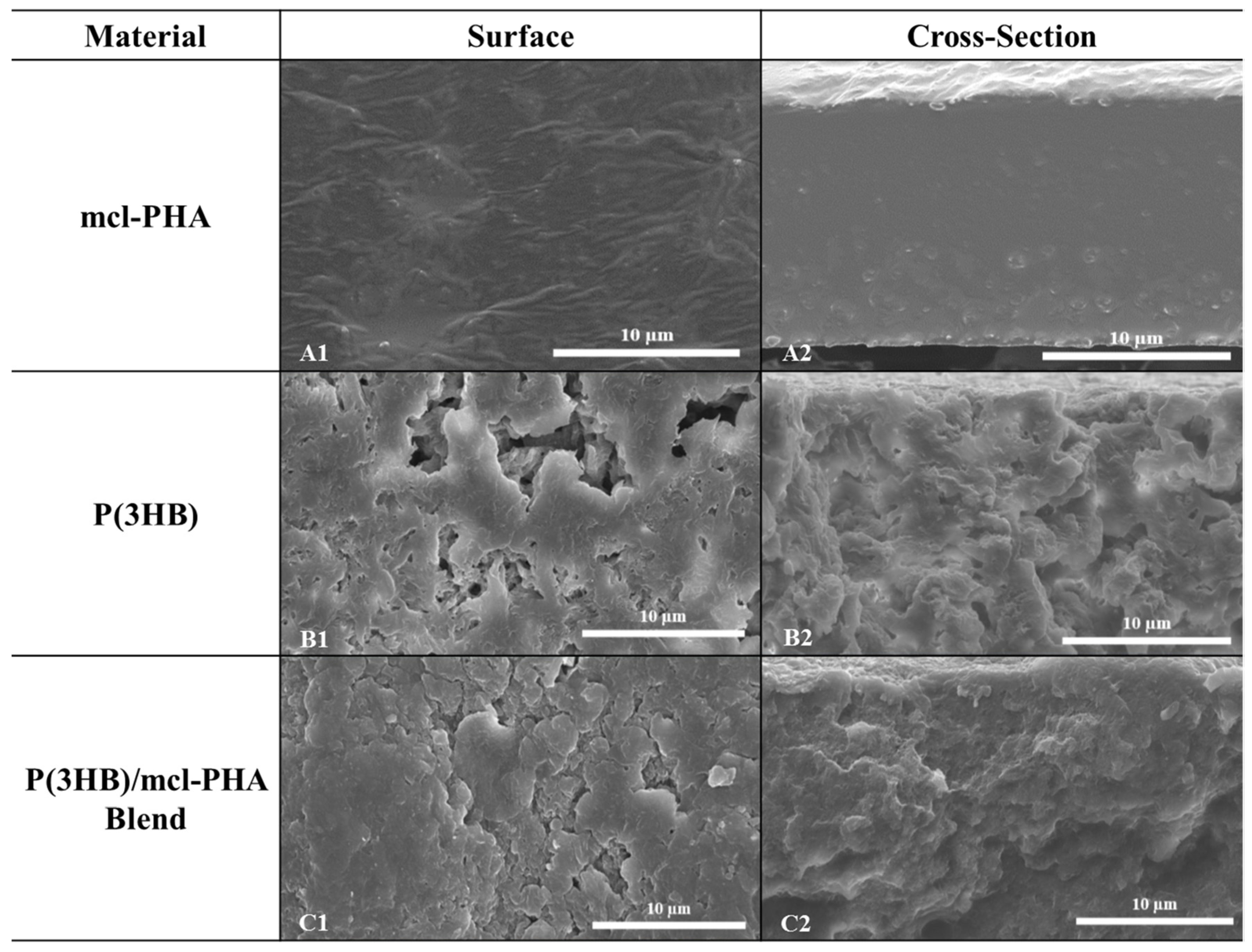 Bioengineering 07 00034 g006 Bioengineering 07 00034 g006