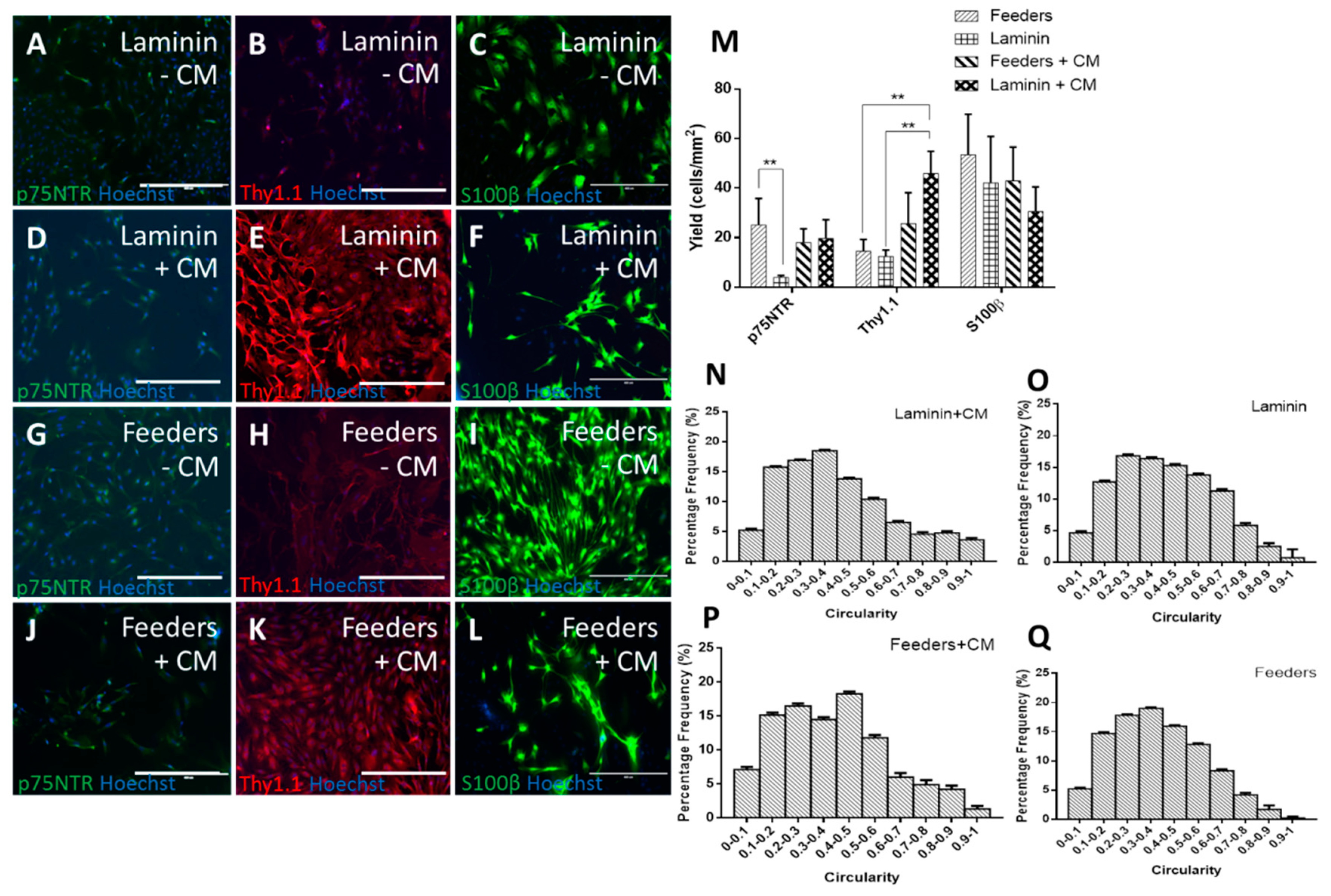 Bioengineering 07 00037 g001