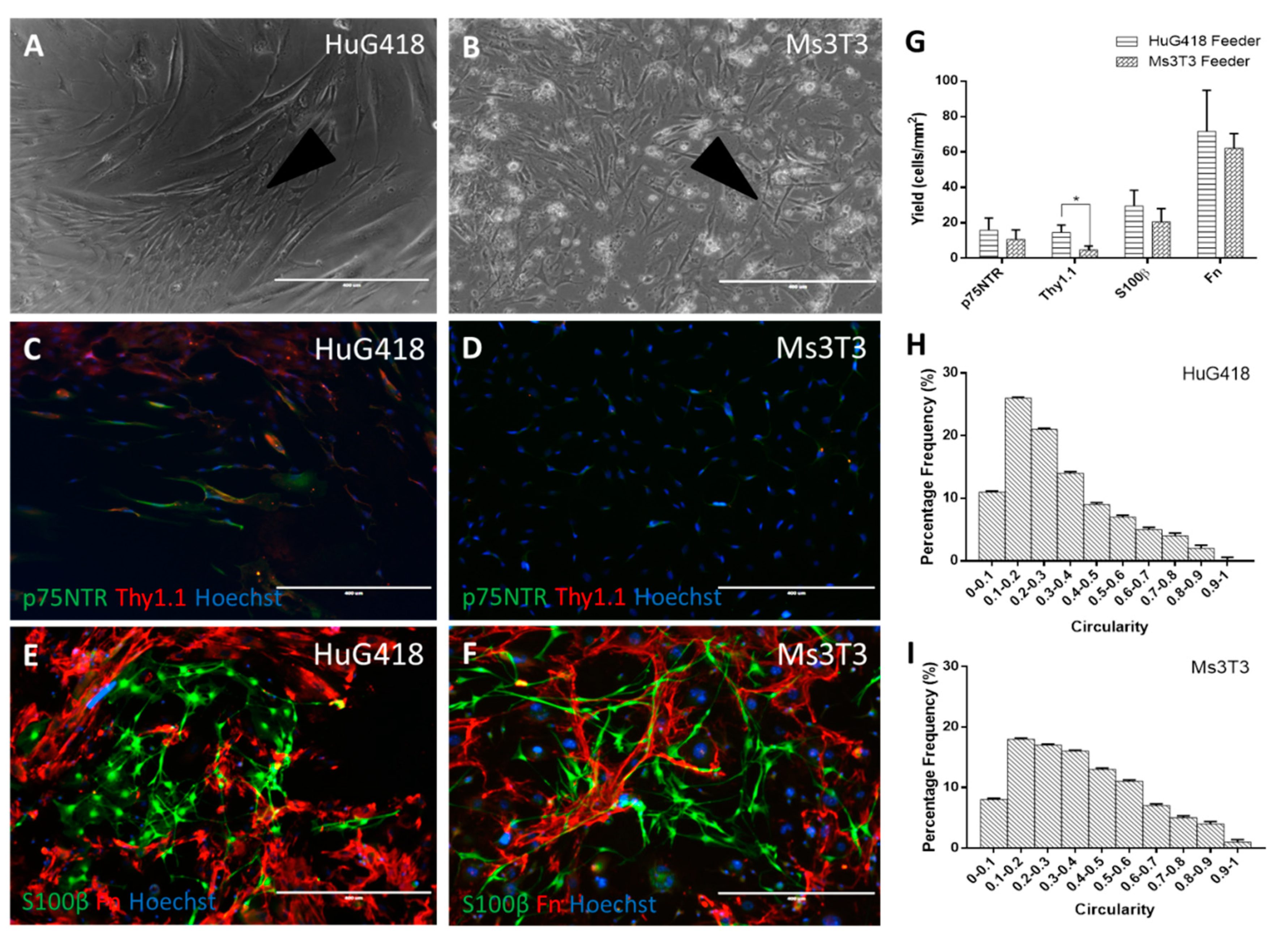Bioengineering 07 00037 g003