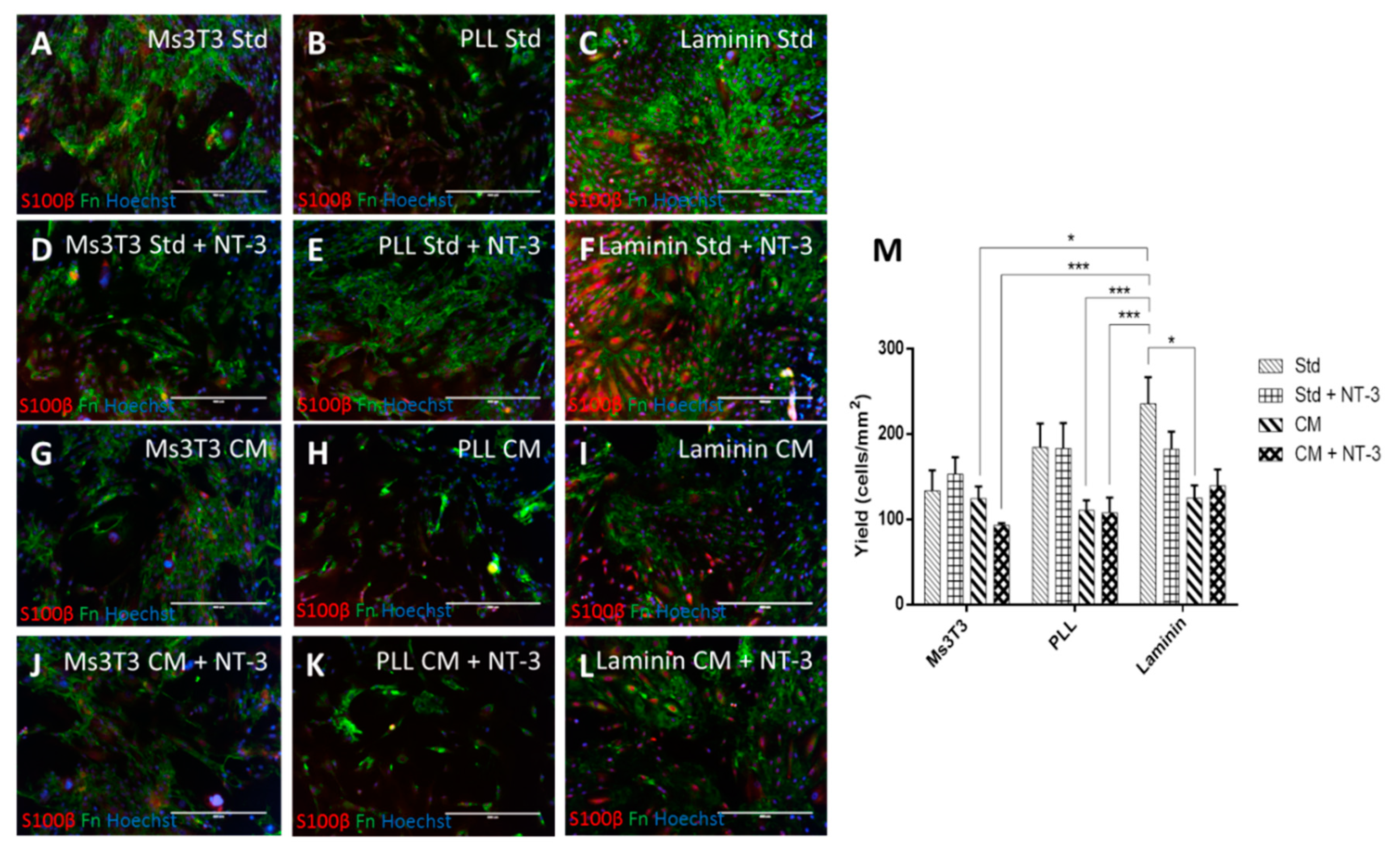 Bioengineering 07 00037 g004
