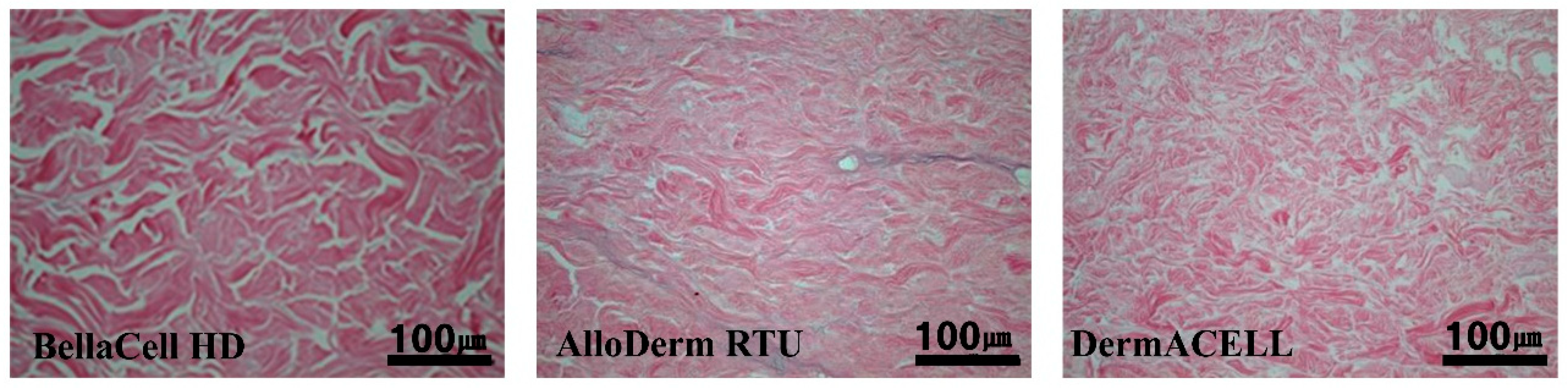 Bioengineering 07 00039 g001