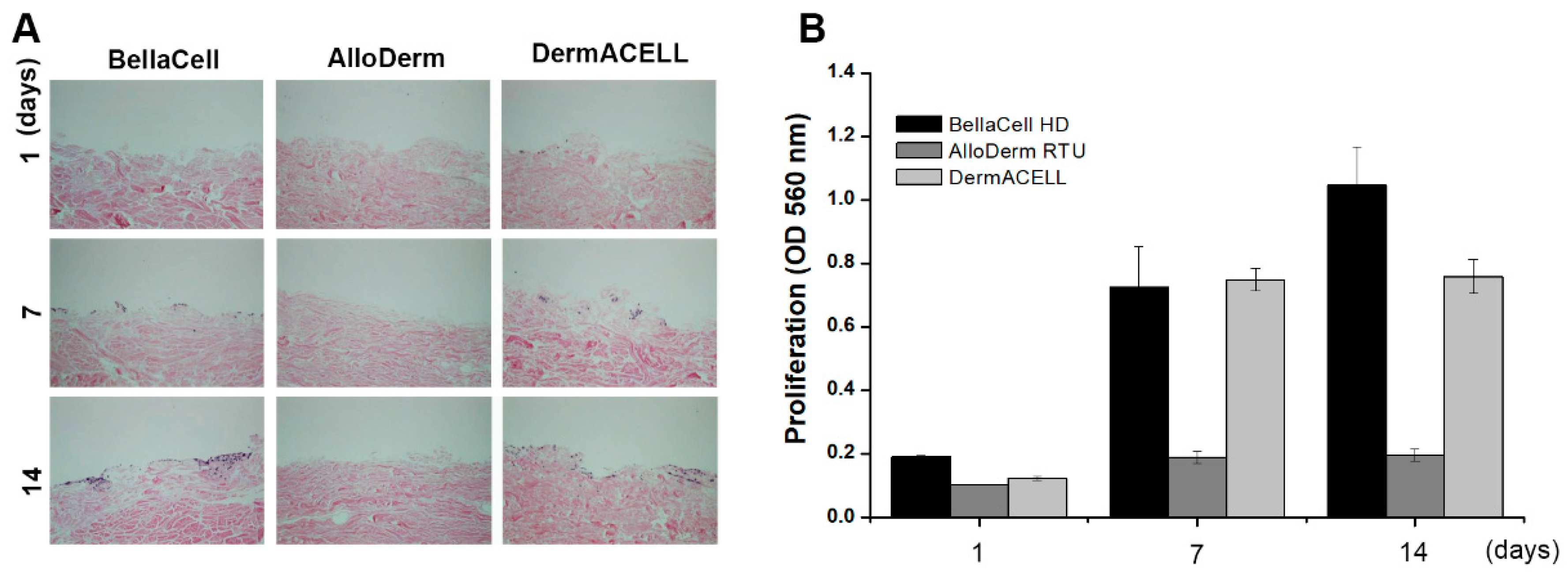 Bioengineering 07 00039 g002
