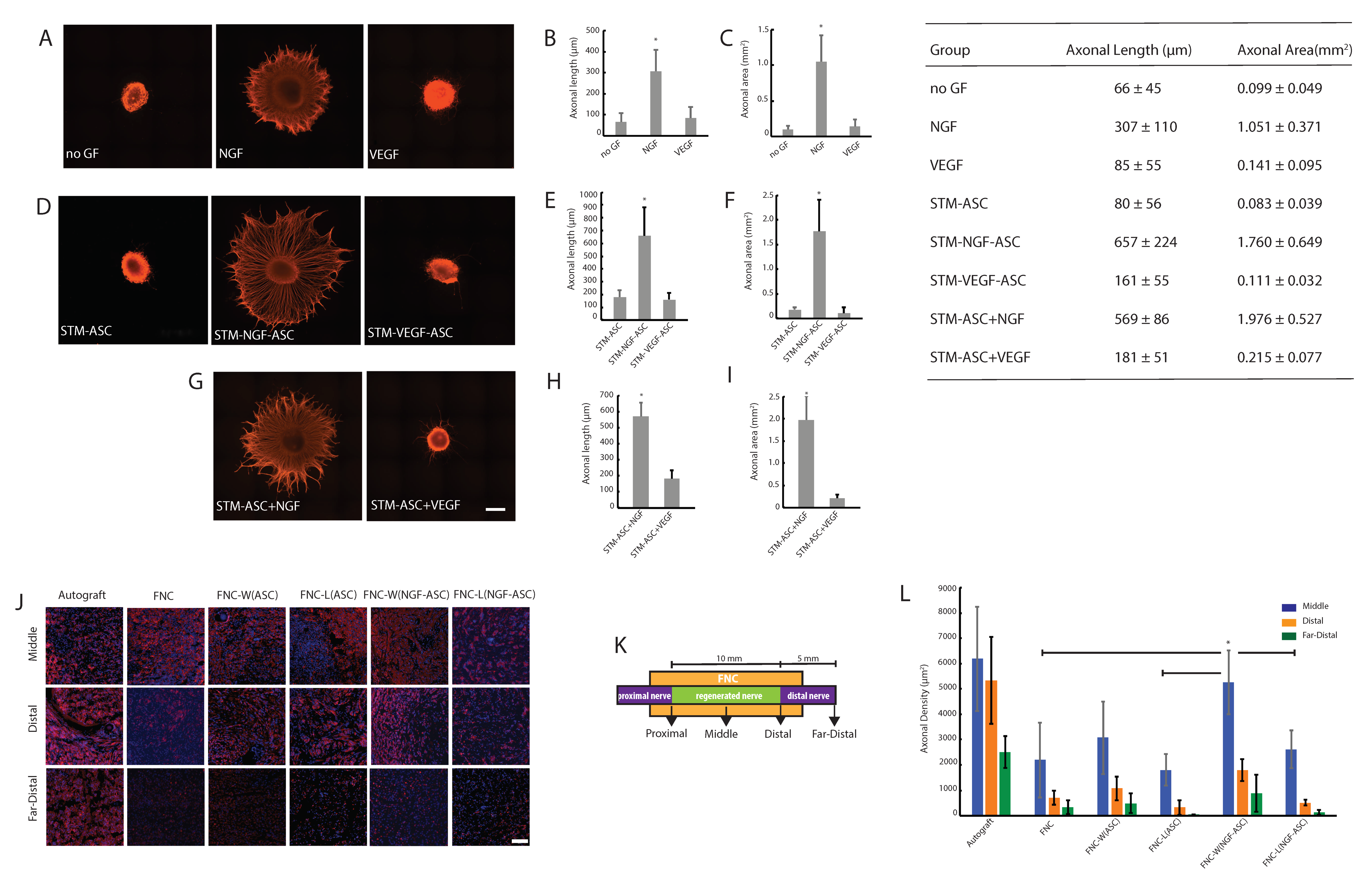 Bioengineering 07 00042 g002 Bioengineering 07 00042 g002